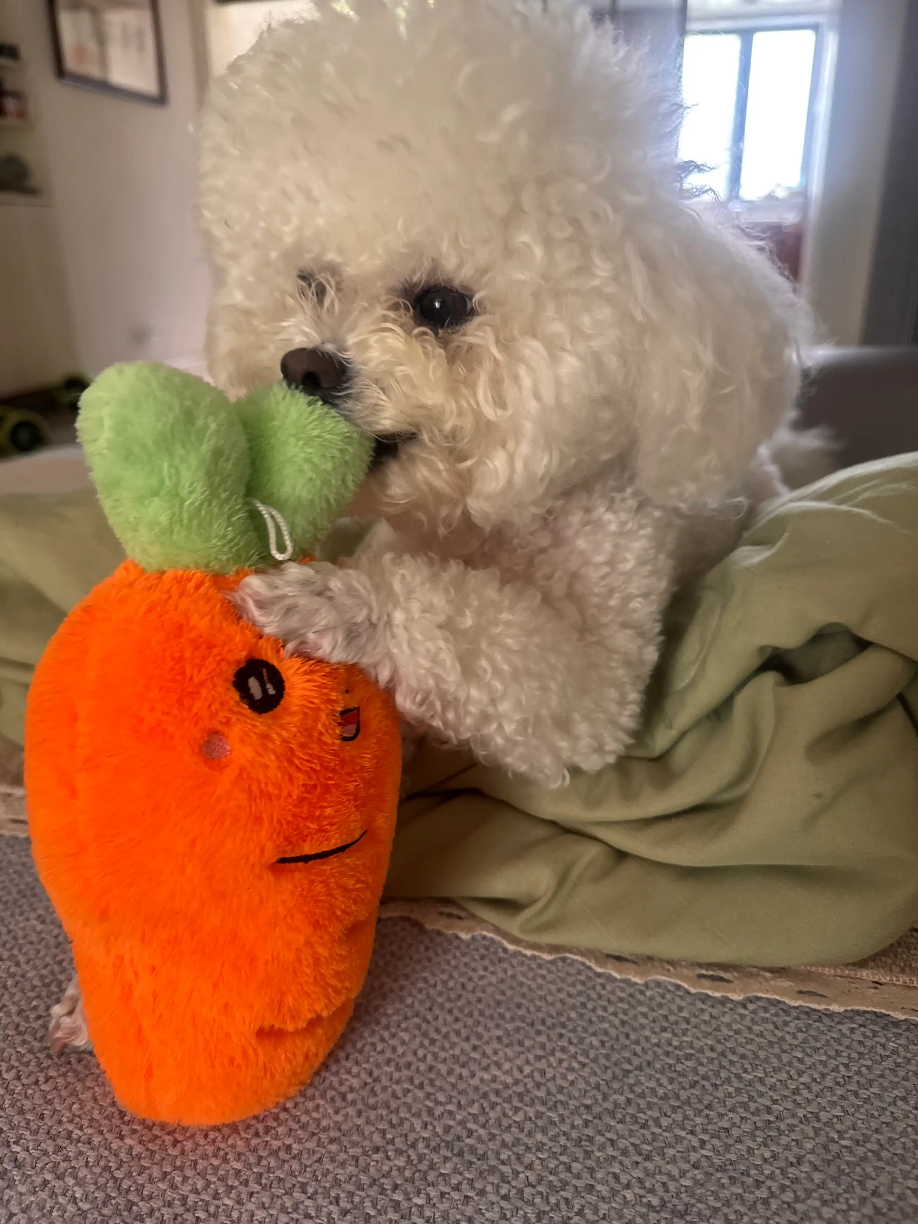 image-10