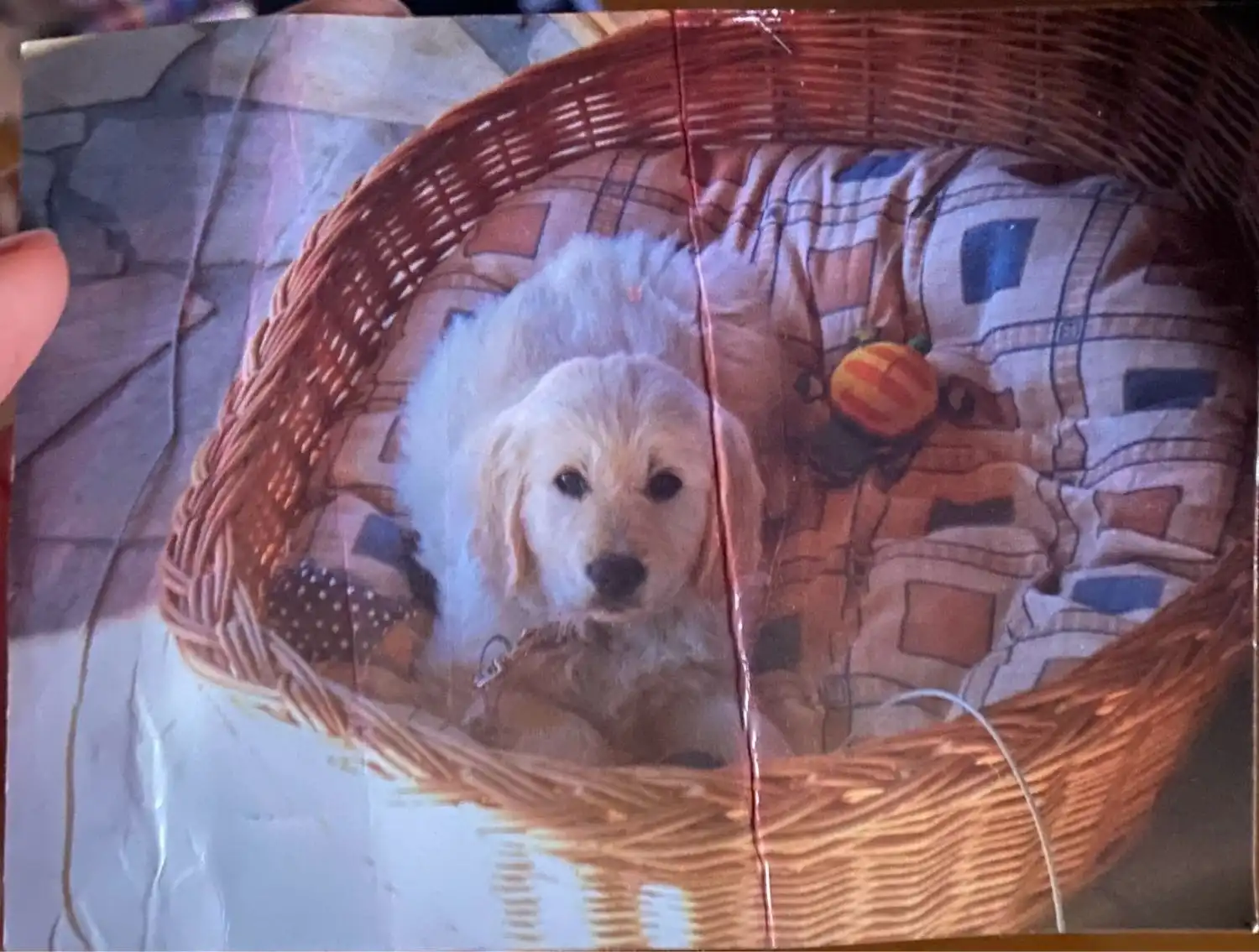 image-5
