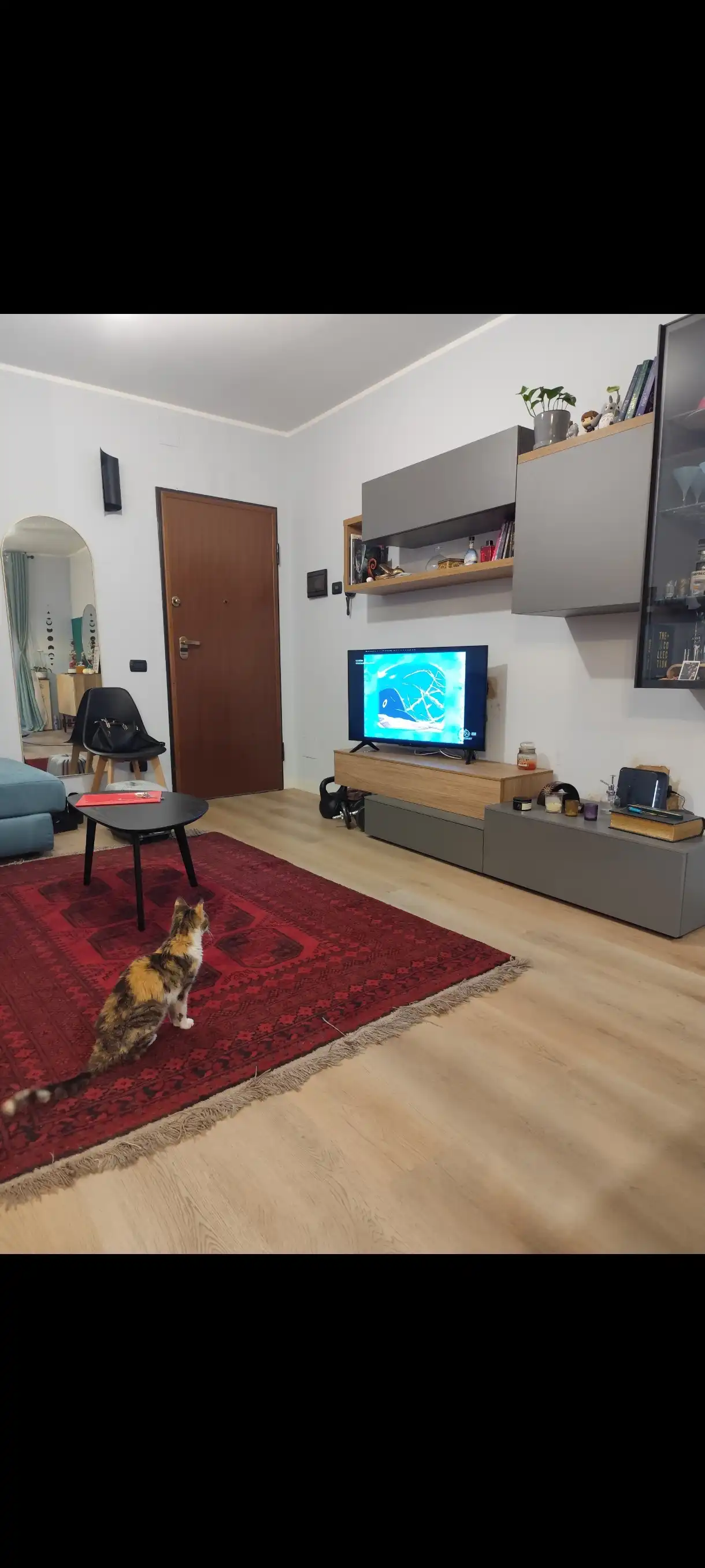 image-18