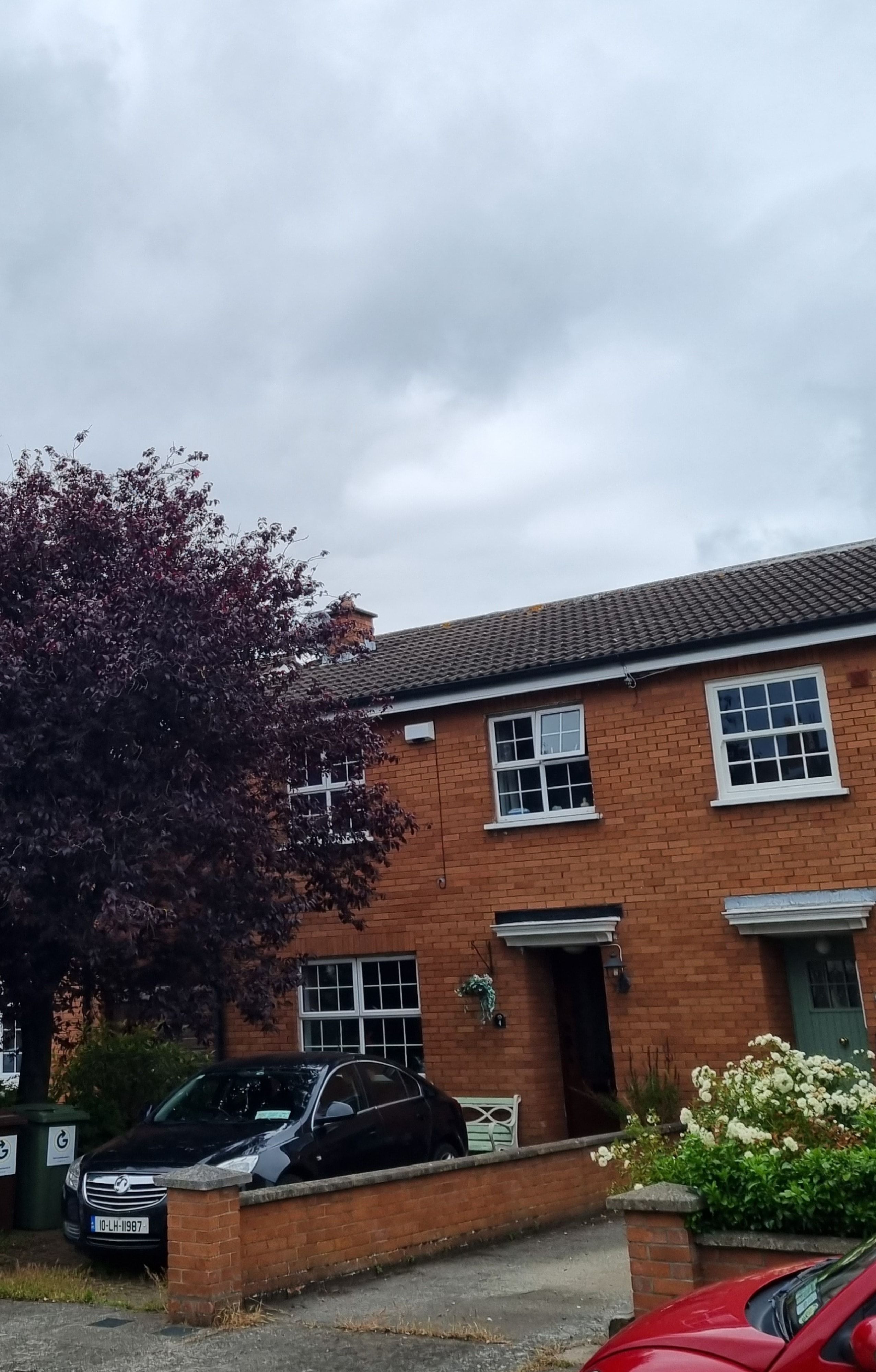 image-10