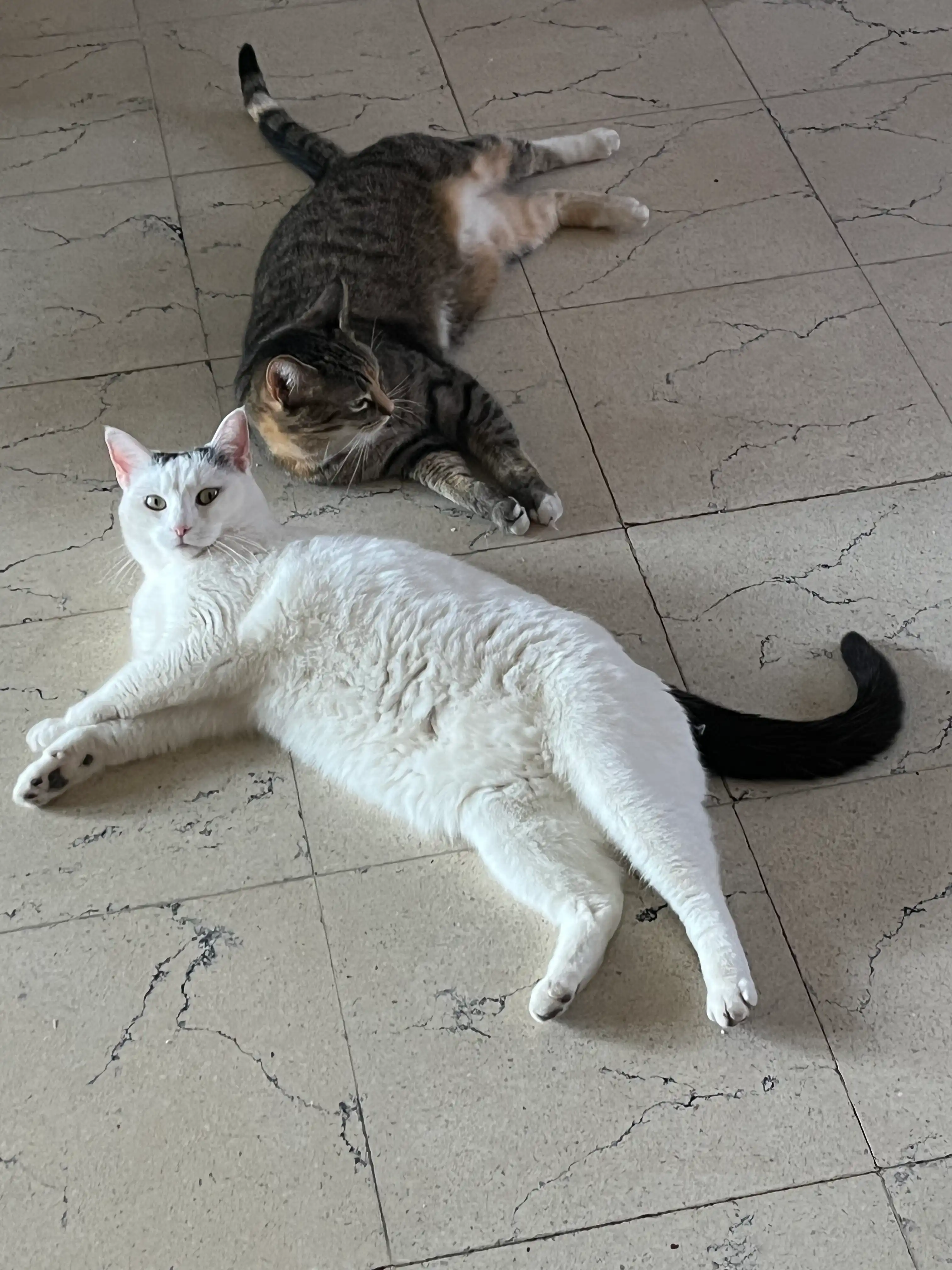 image-17