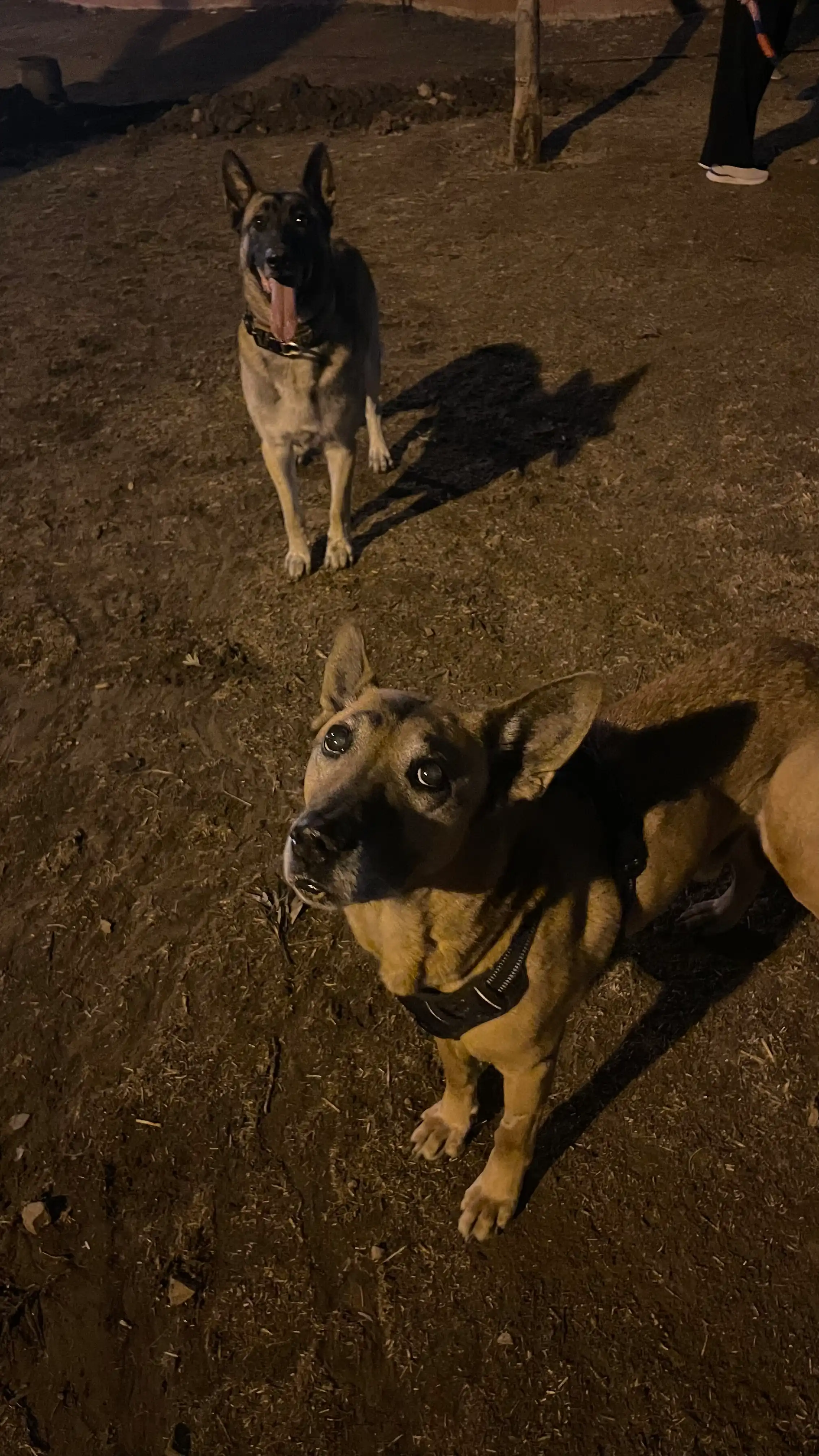 image-7