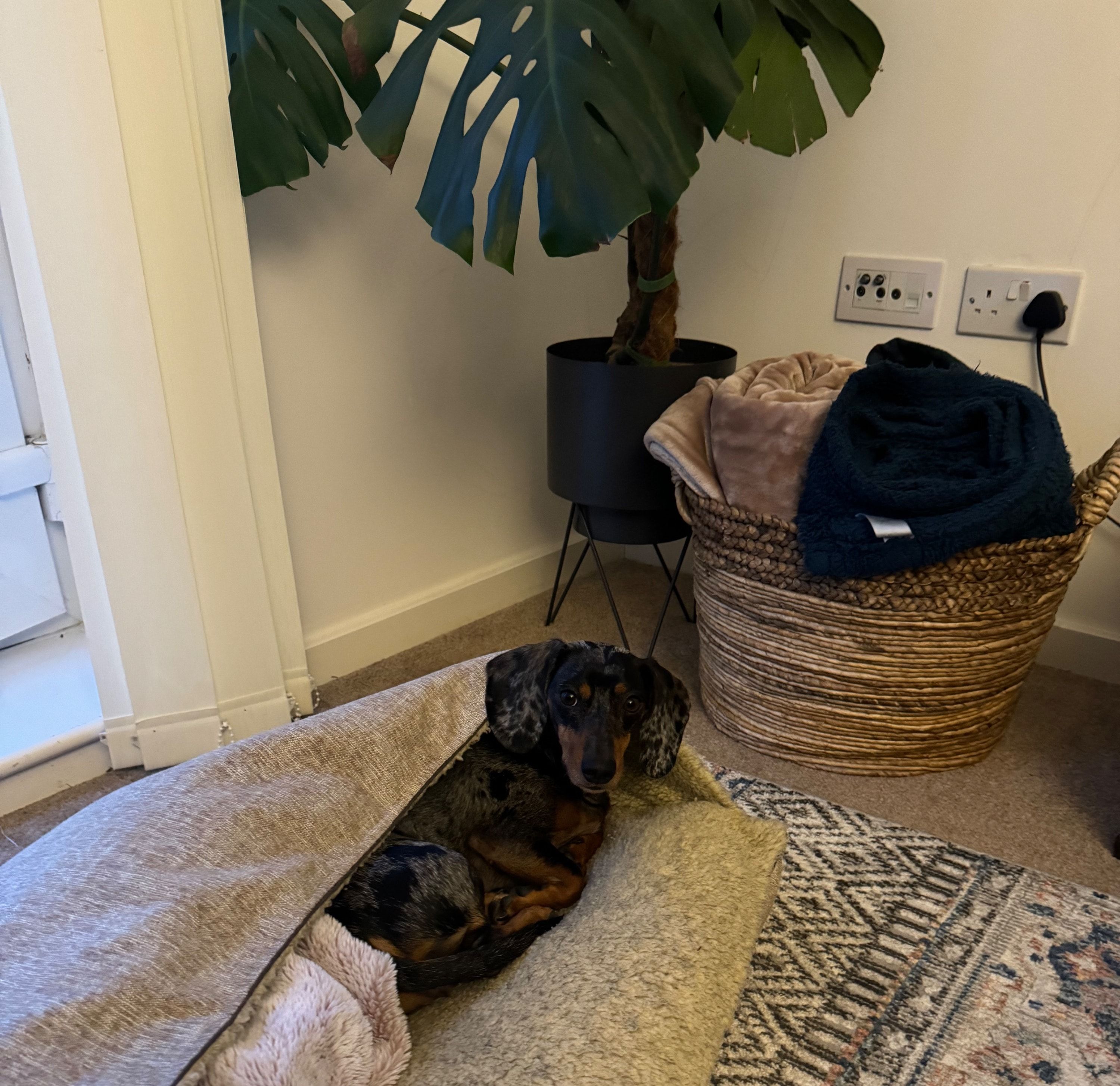 image-13