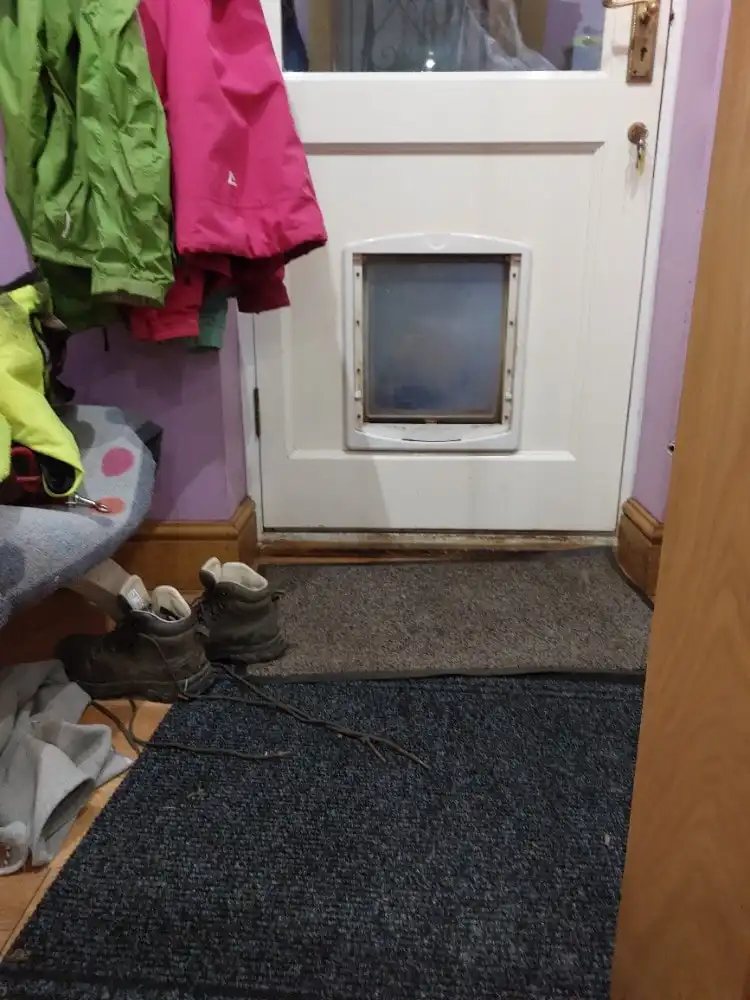 image-7
