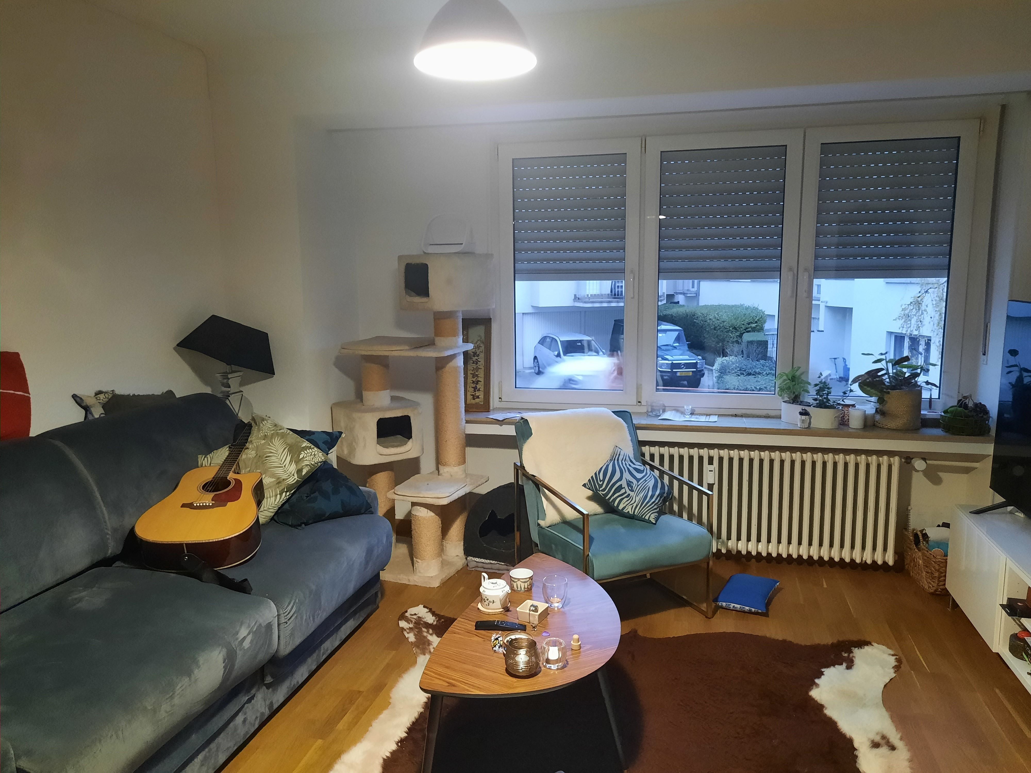 image-4