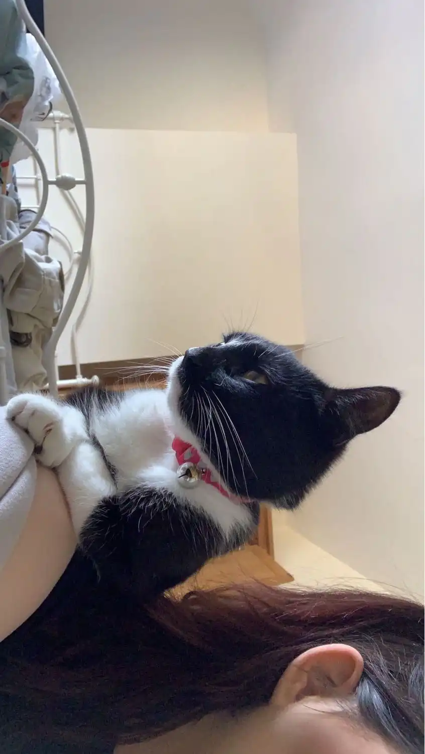 image-6