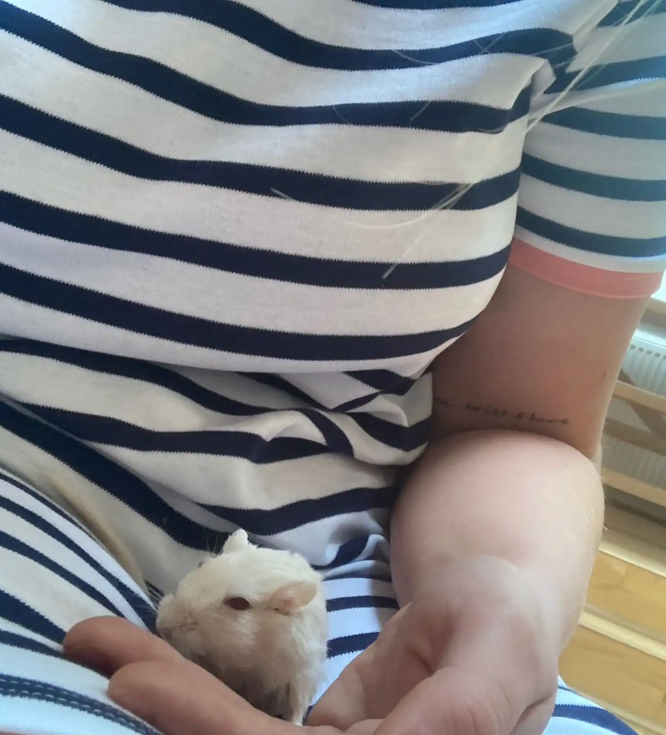 image-7