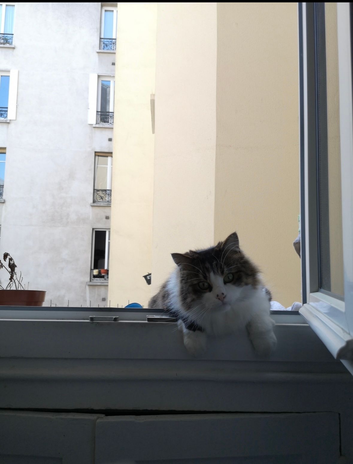 image-10