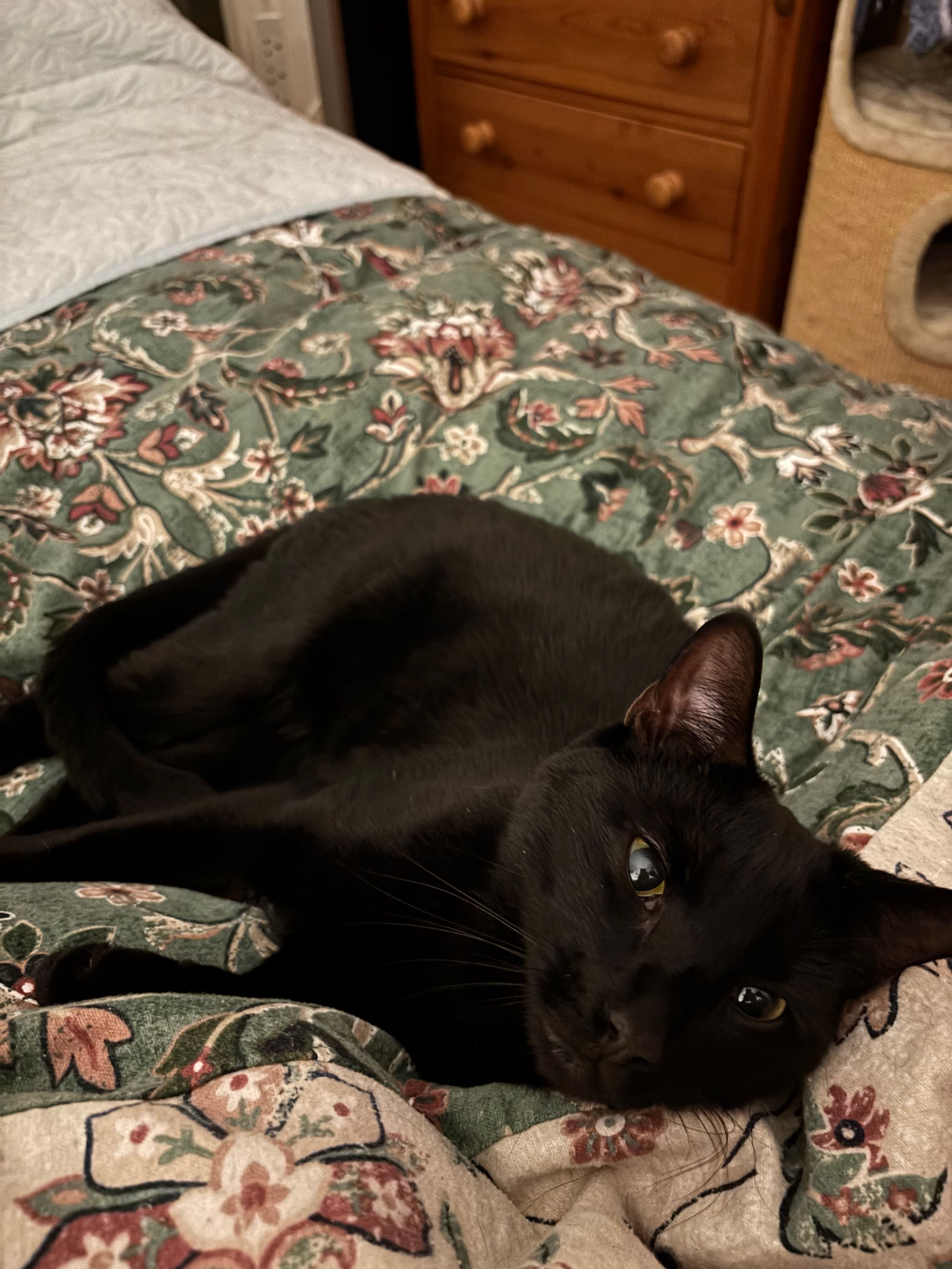 image-7
