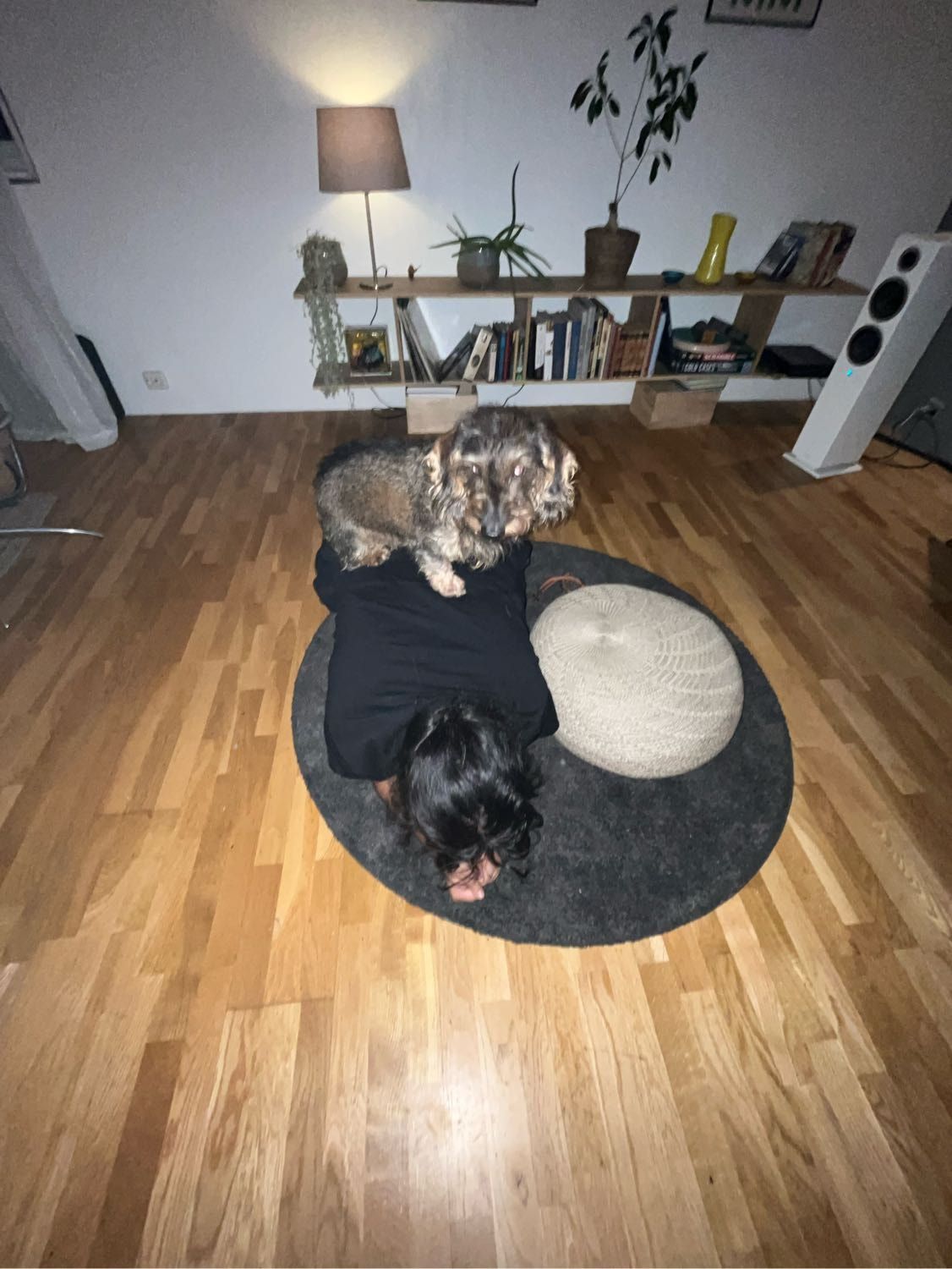 image-10