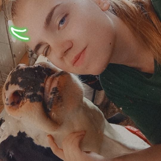 image-8