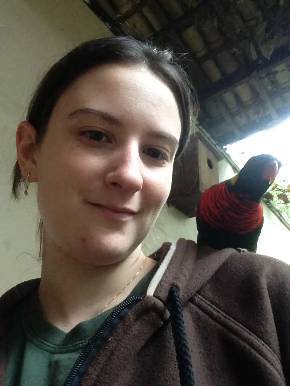 image-7