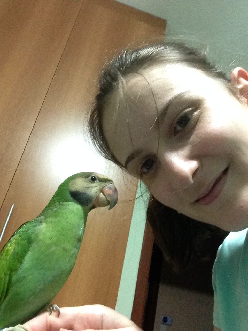 image-1