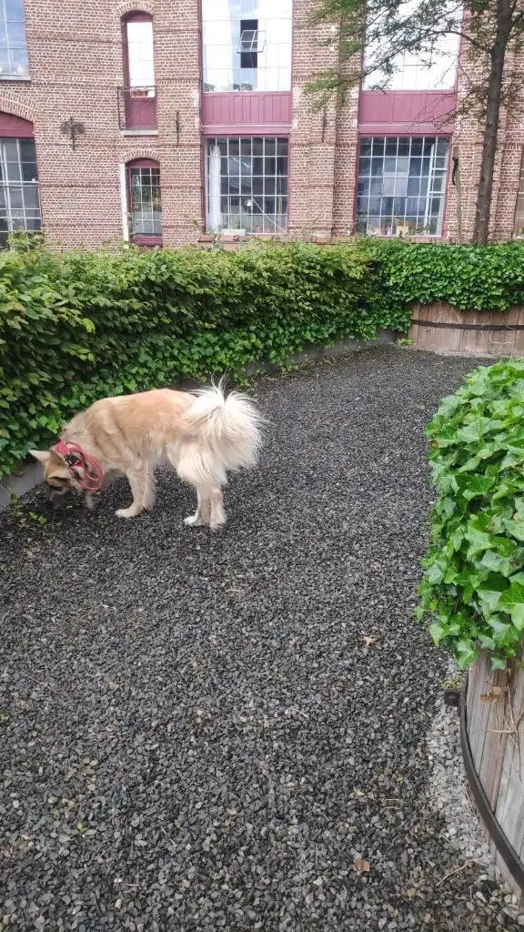 image-5