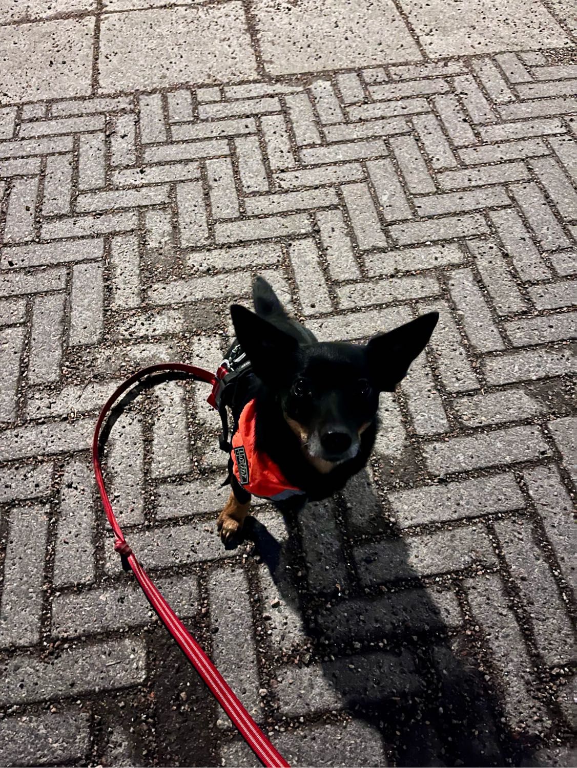 image-7
