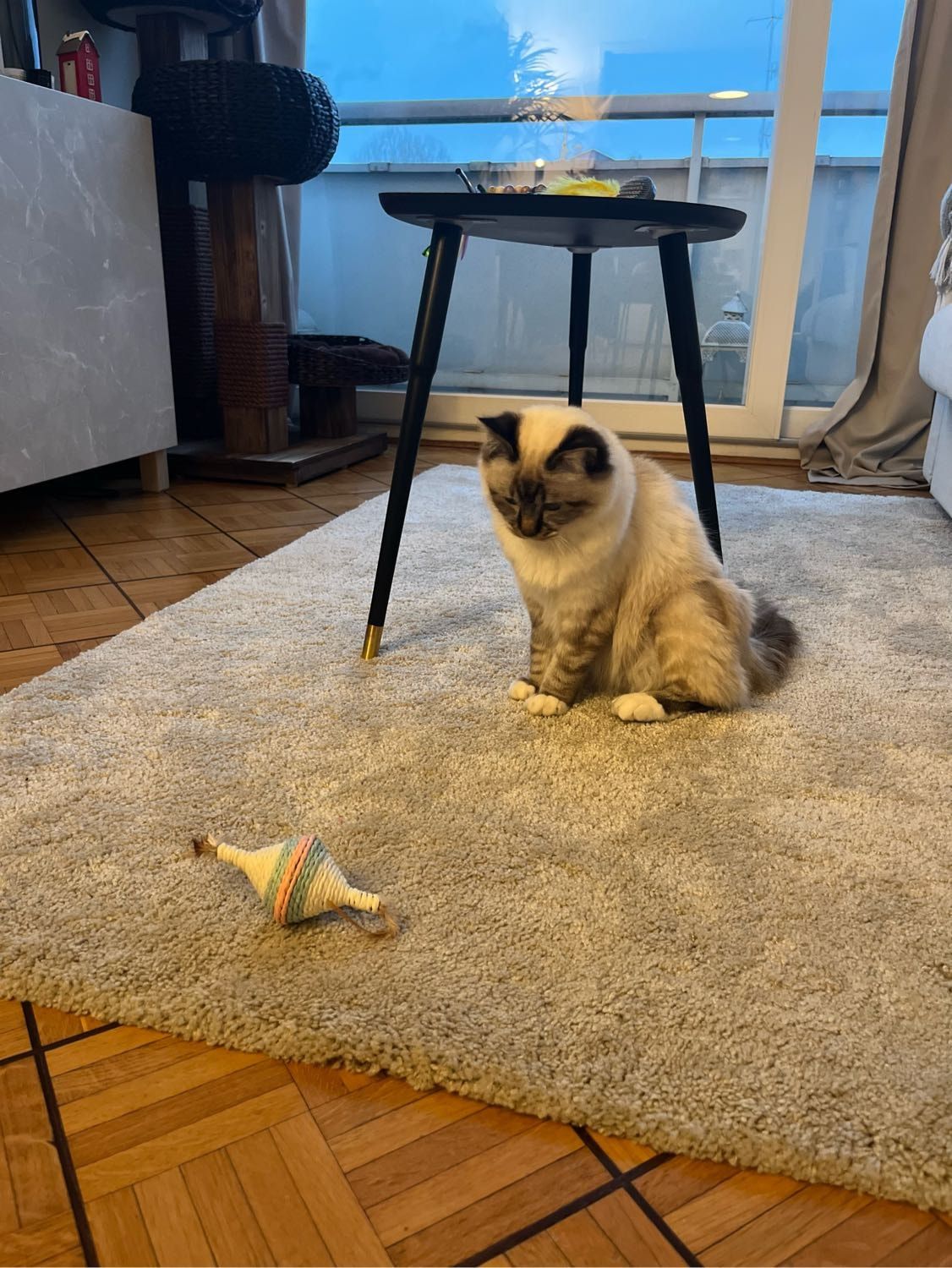 image-10