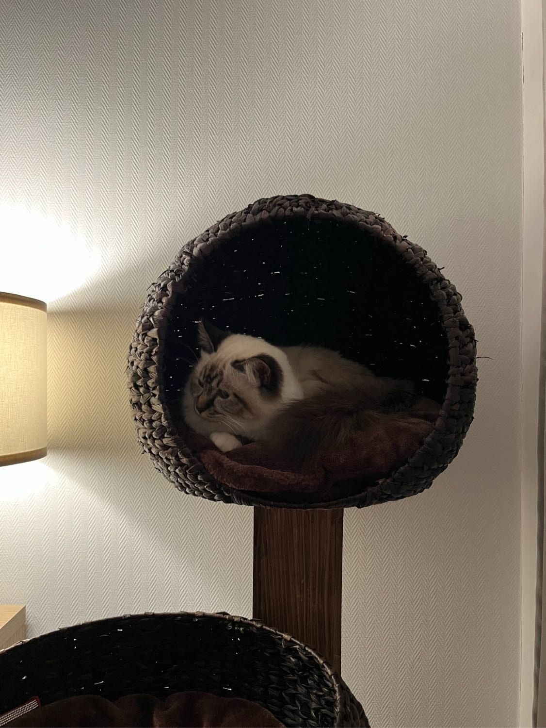 image-4