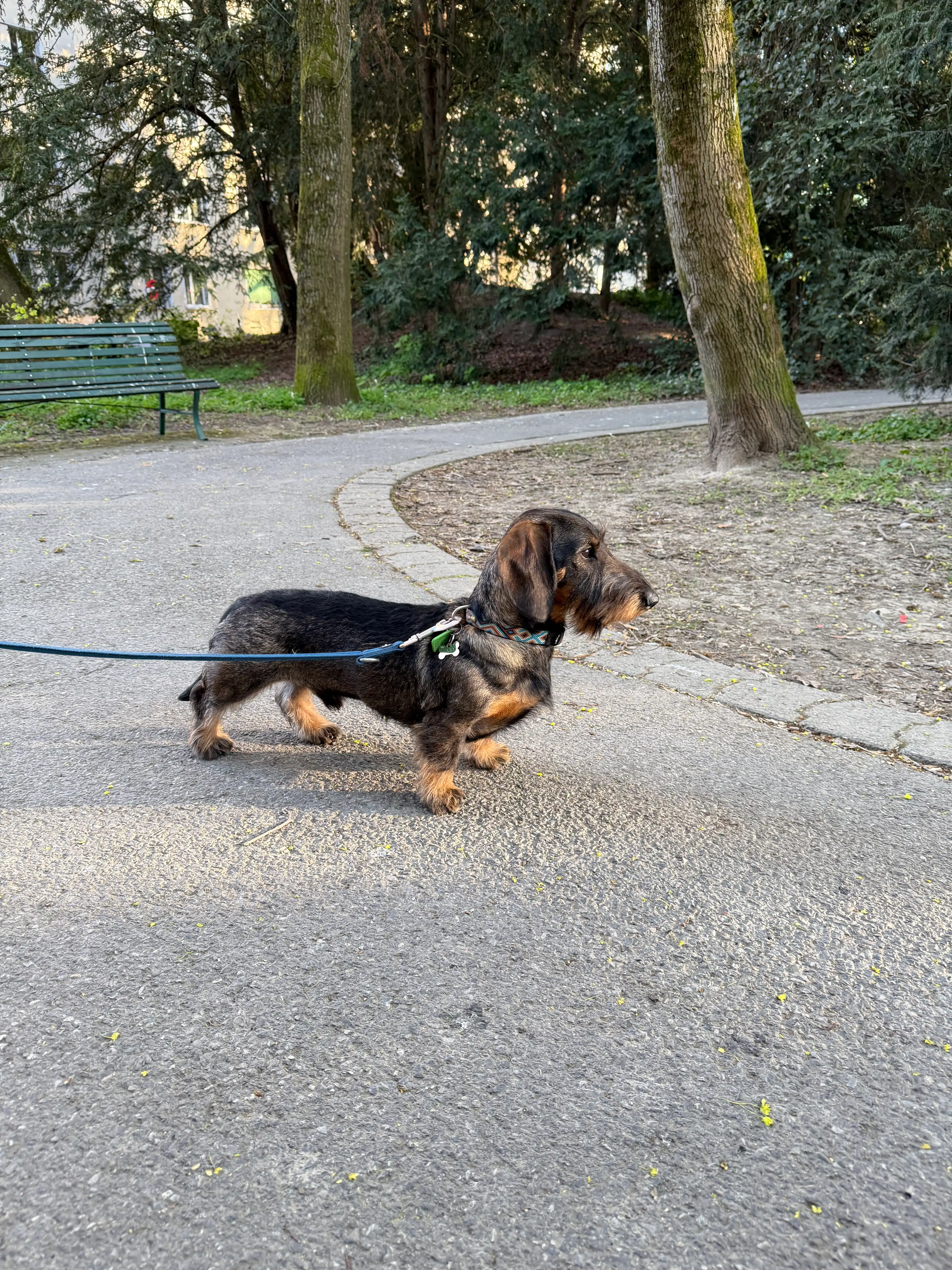 image-13
