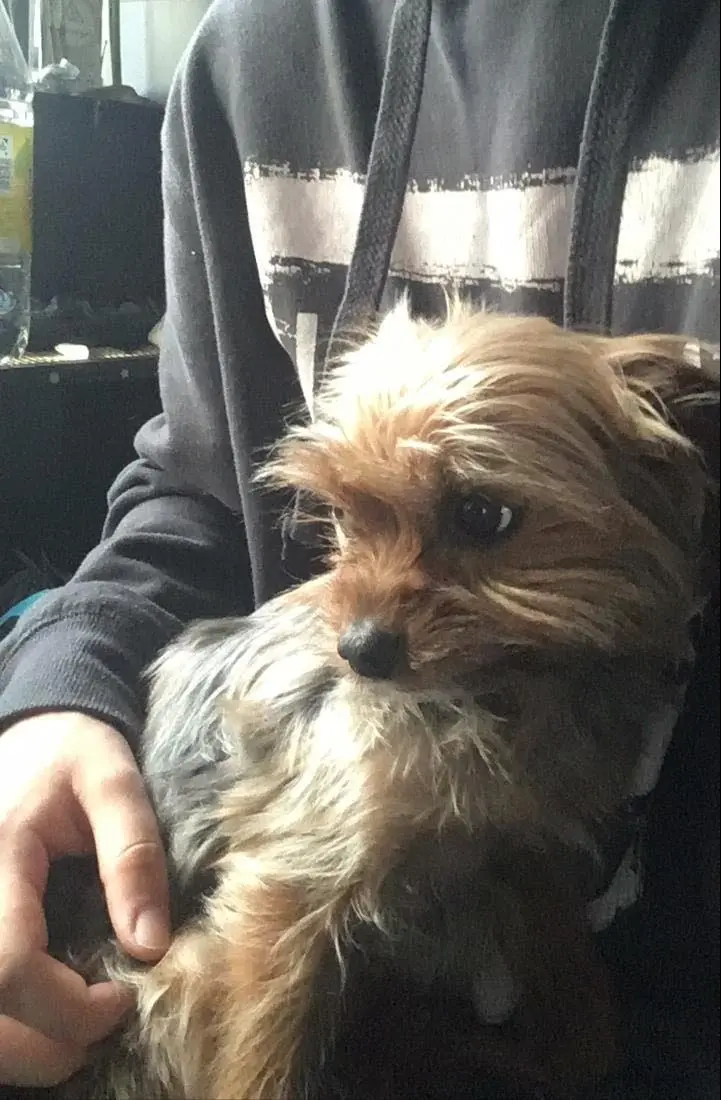 image-4