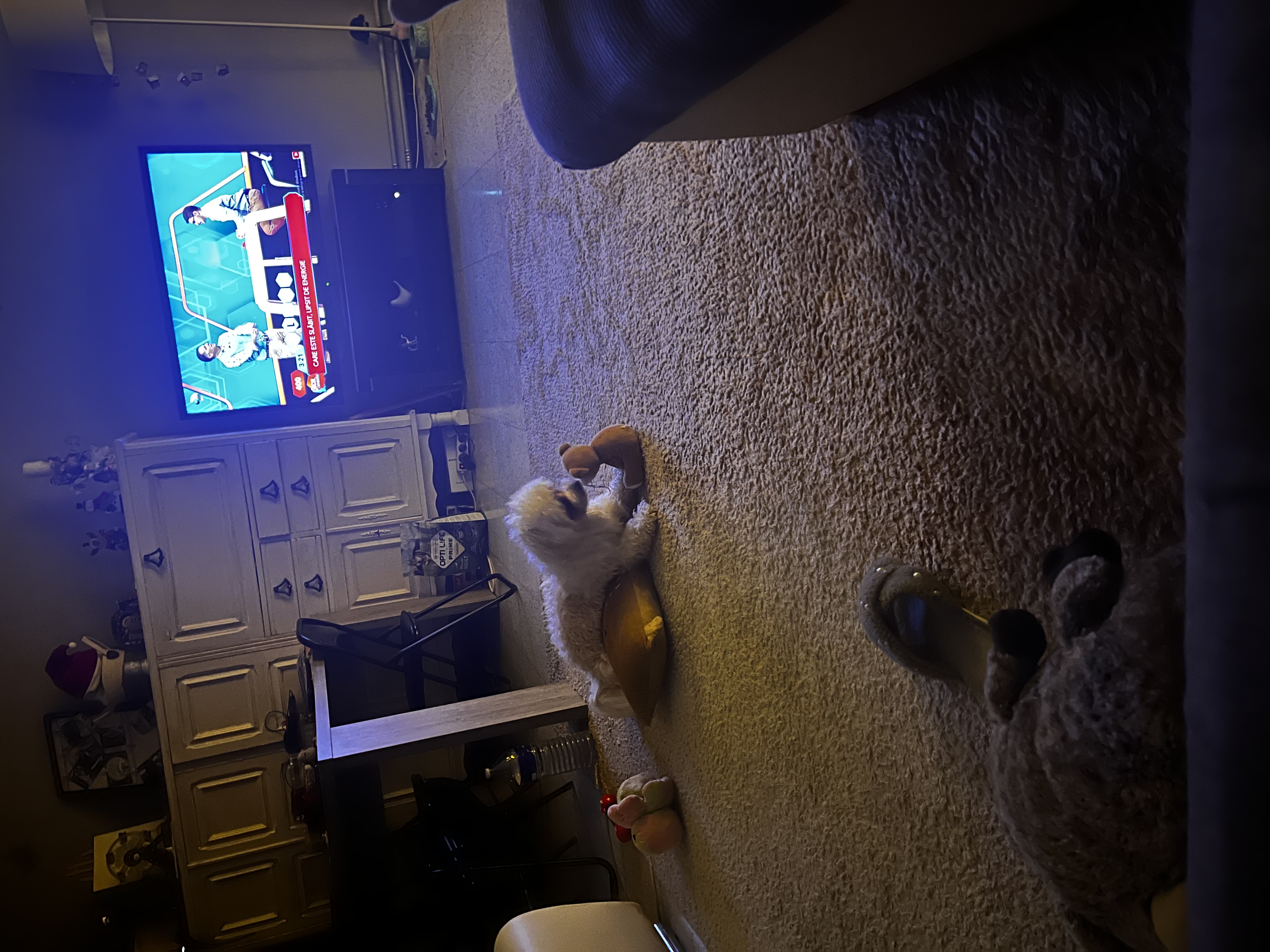 image-9