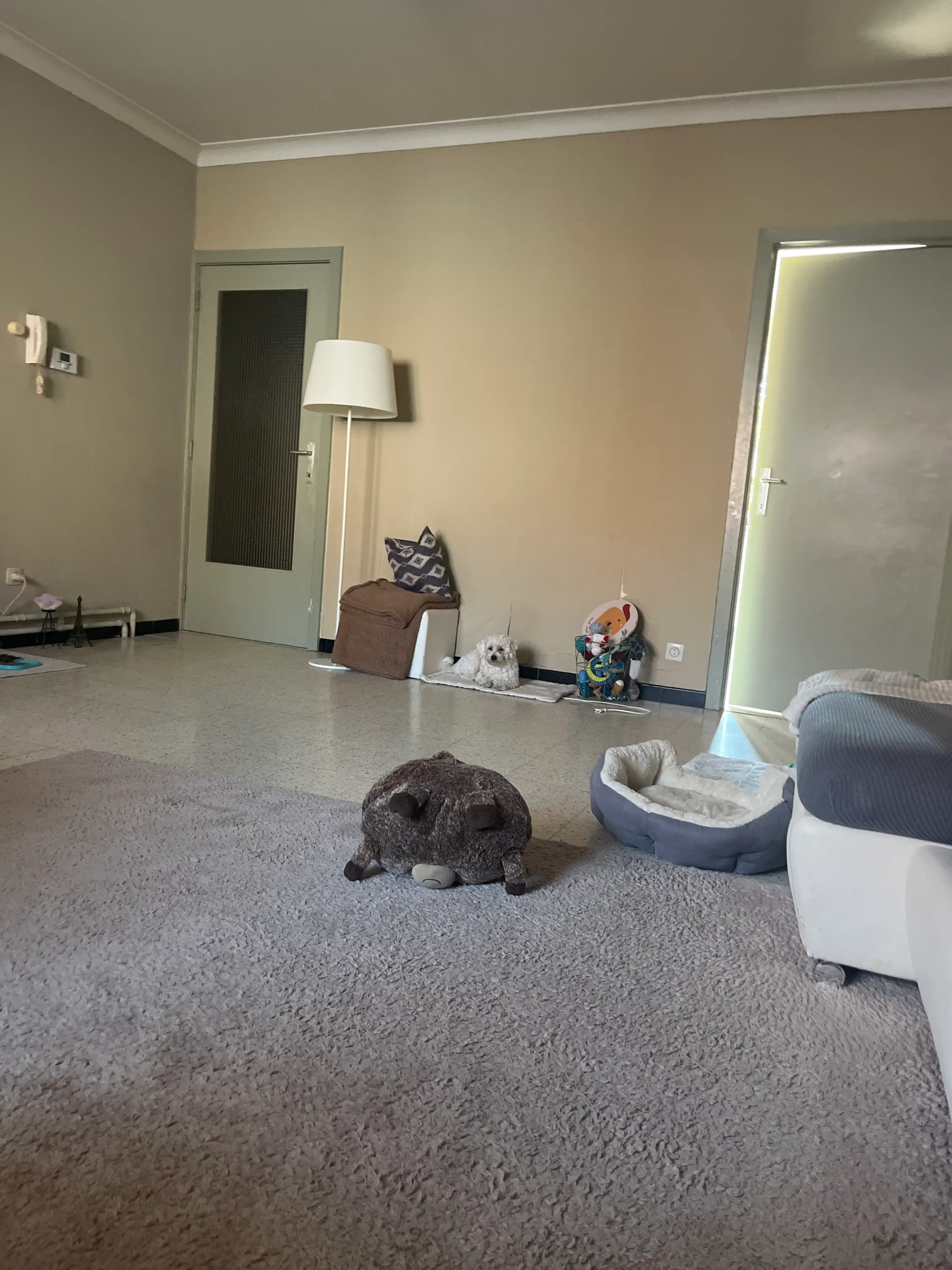 image-15
