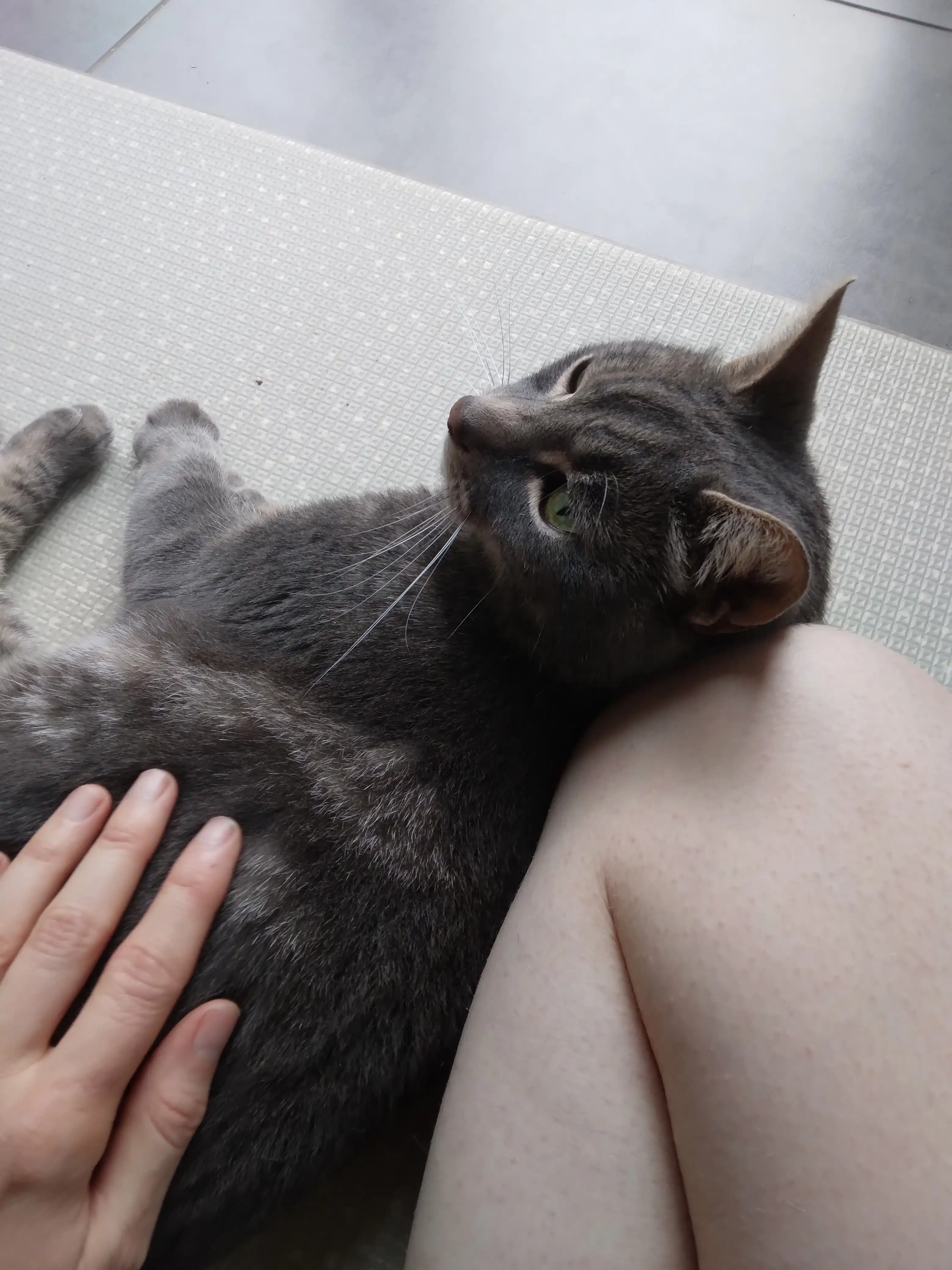 image-7