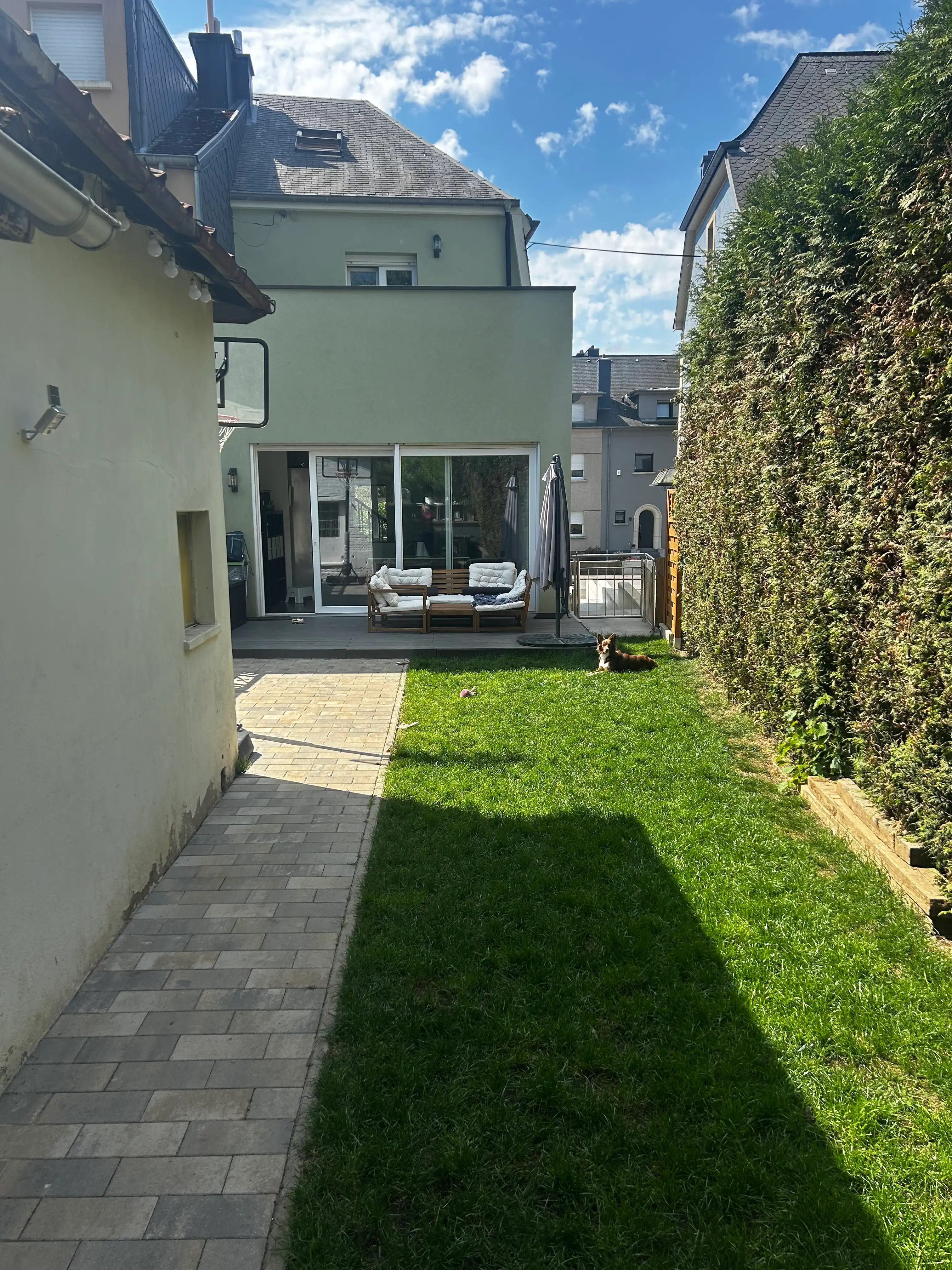 image-19