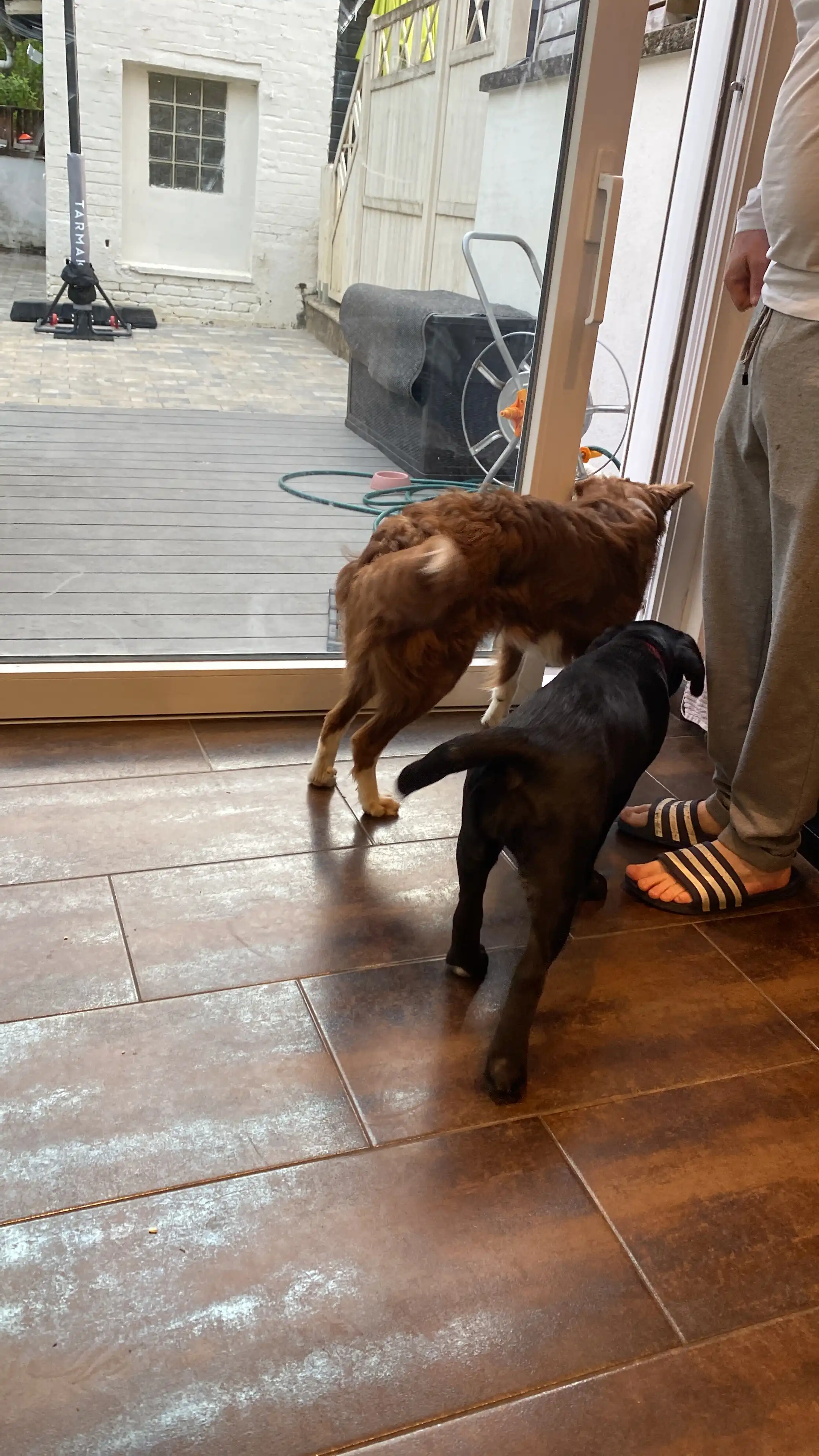 image-8