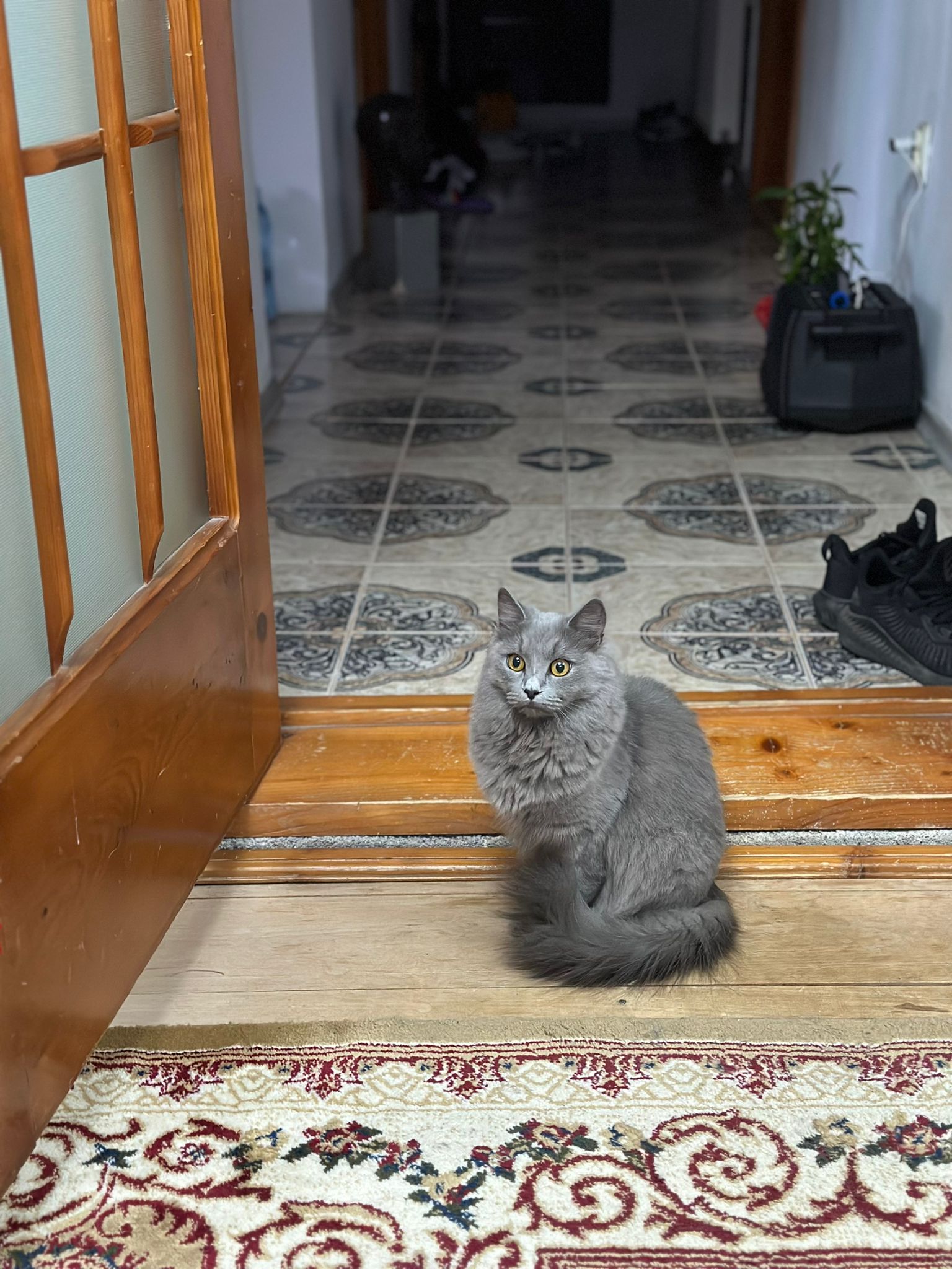image-8