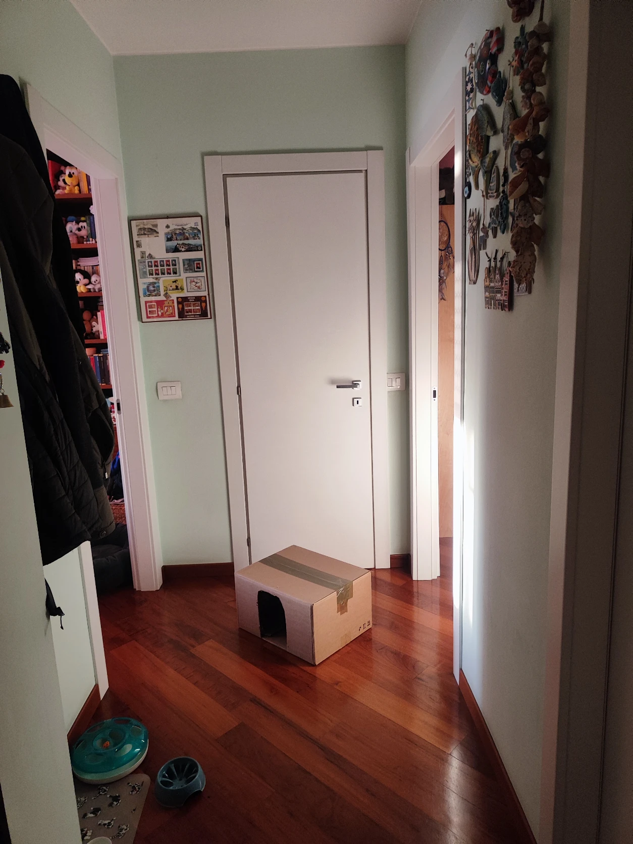 image-10