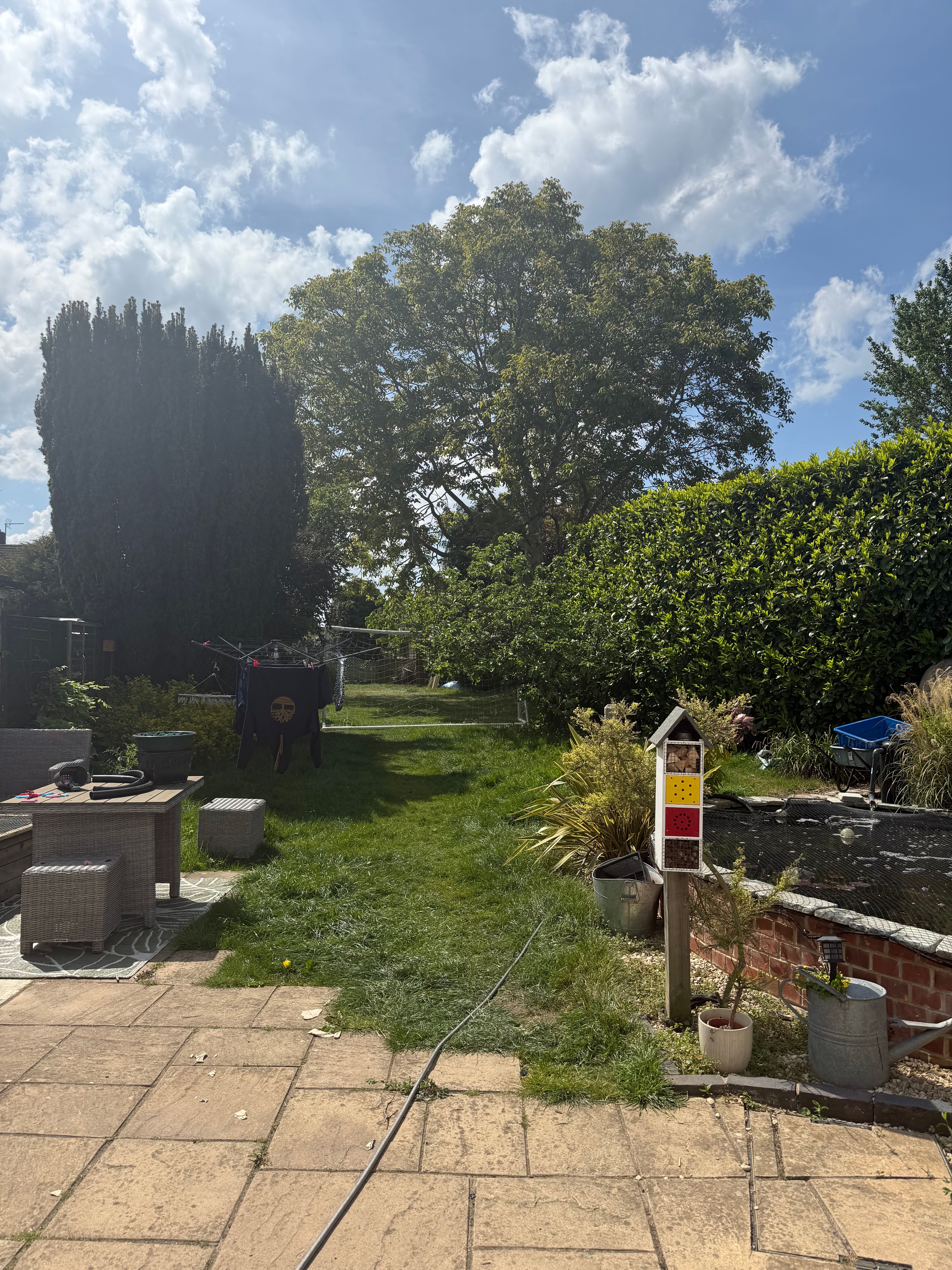 image-13
