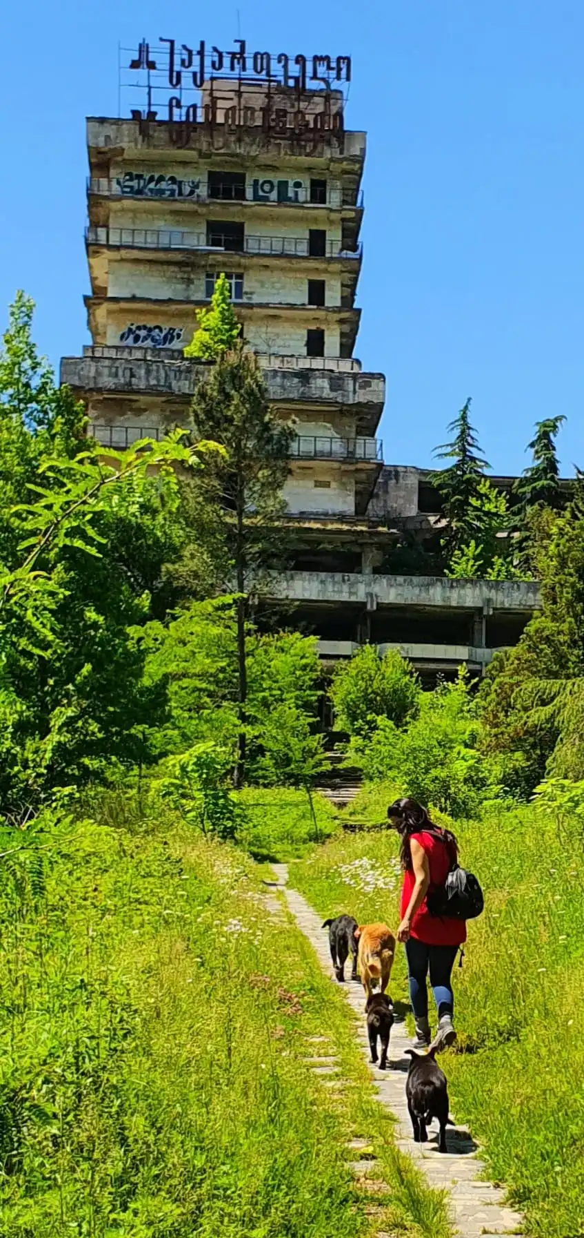 image-10