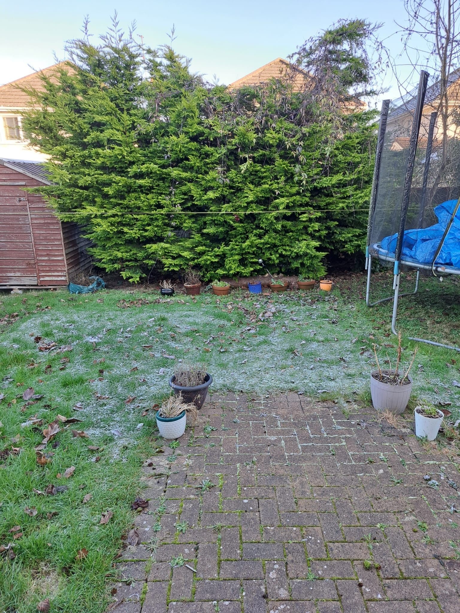 image-12