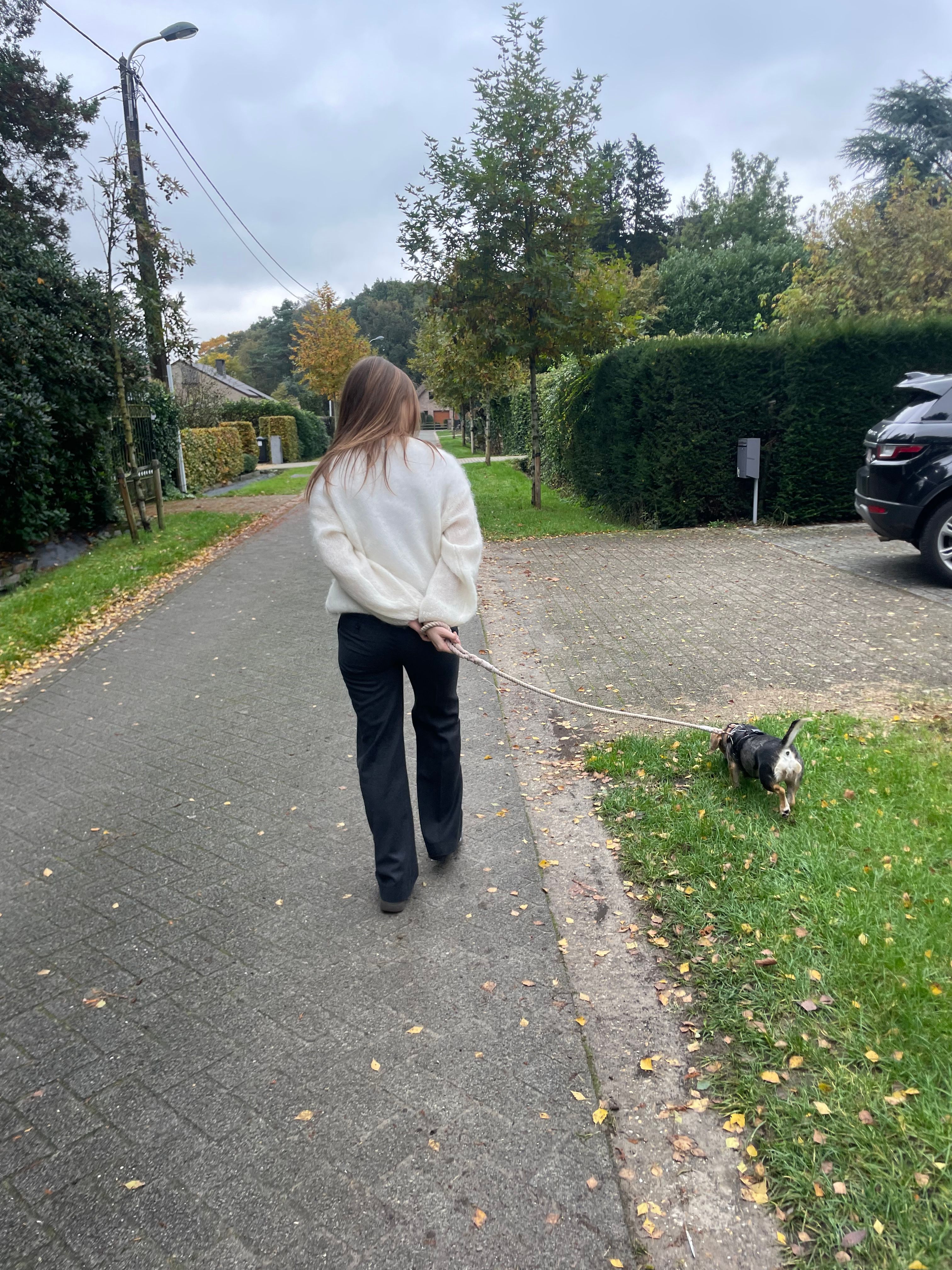 image-16