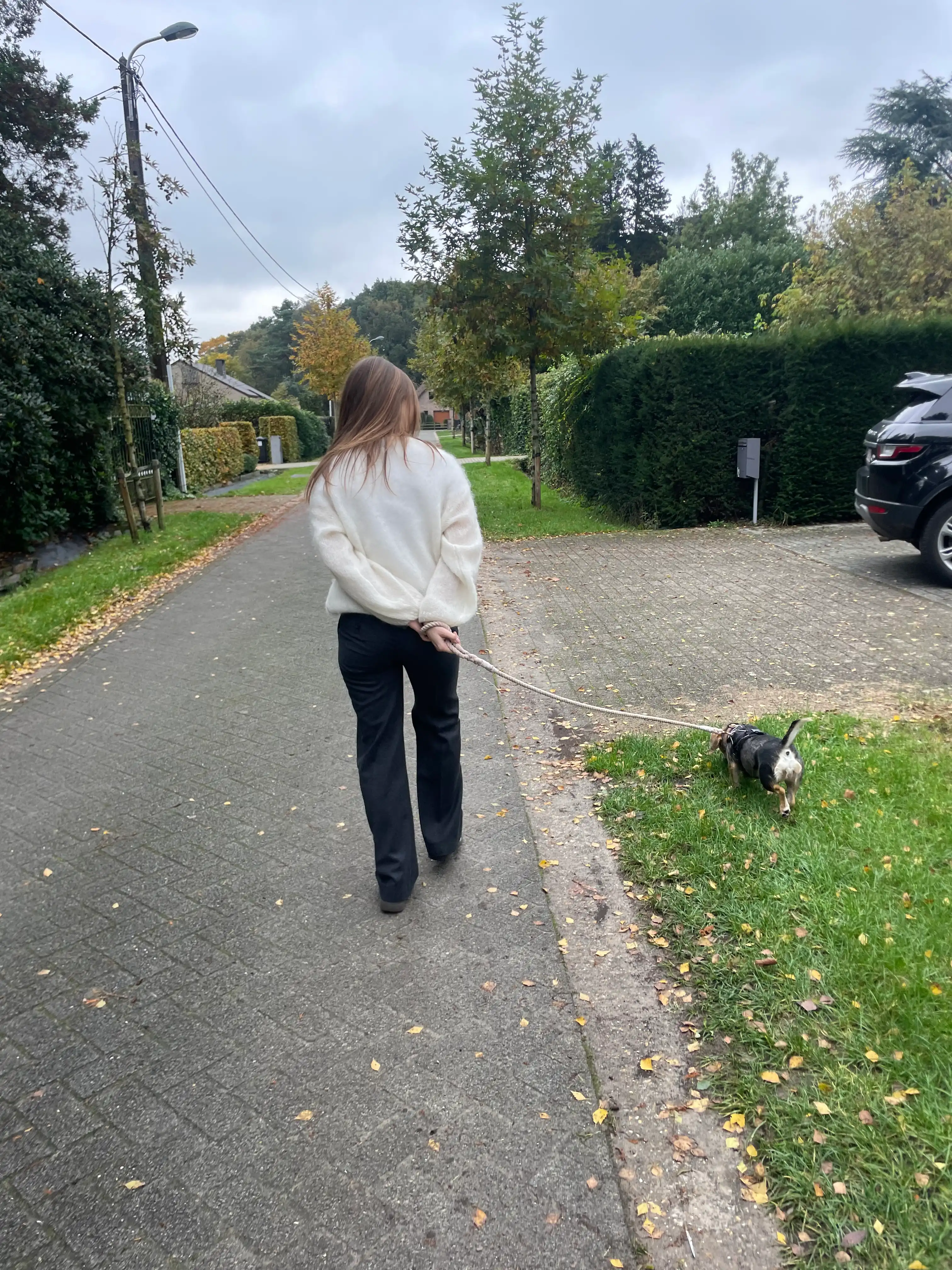 image-16