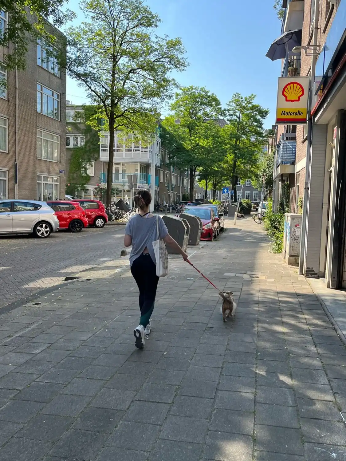 image-7