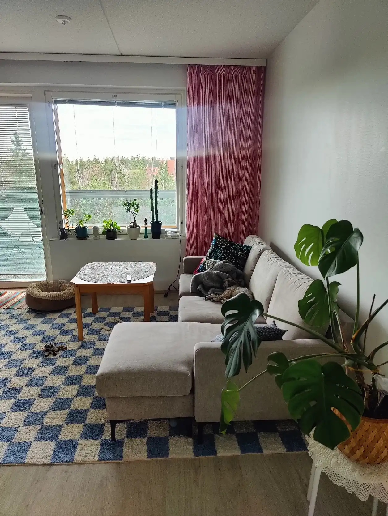 image-14