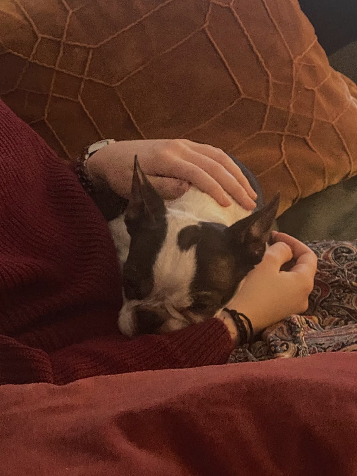 image-6