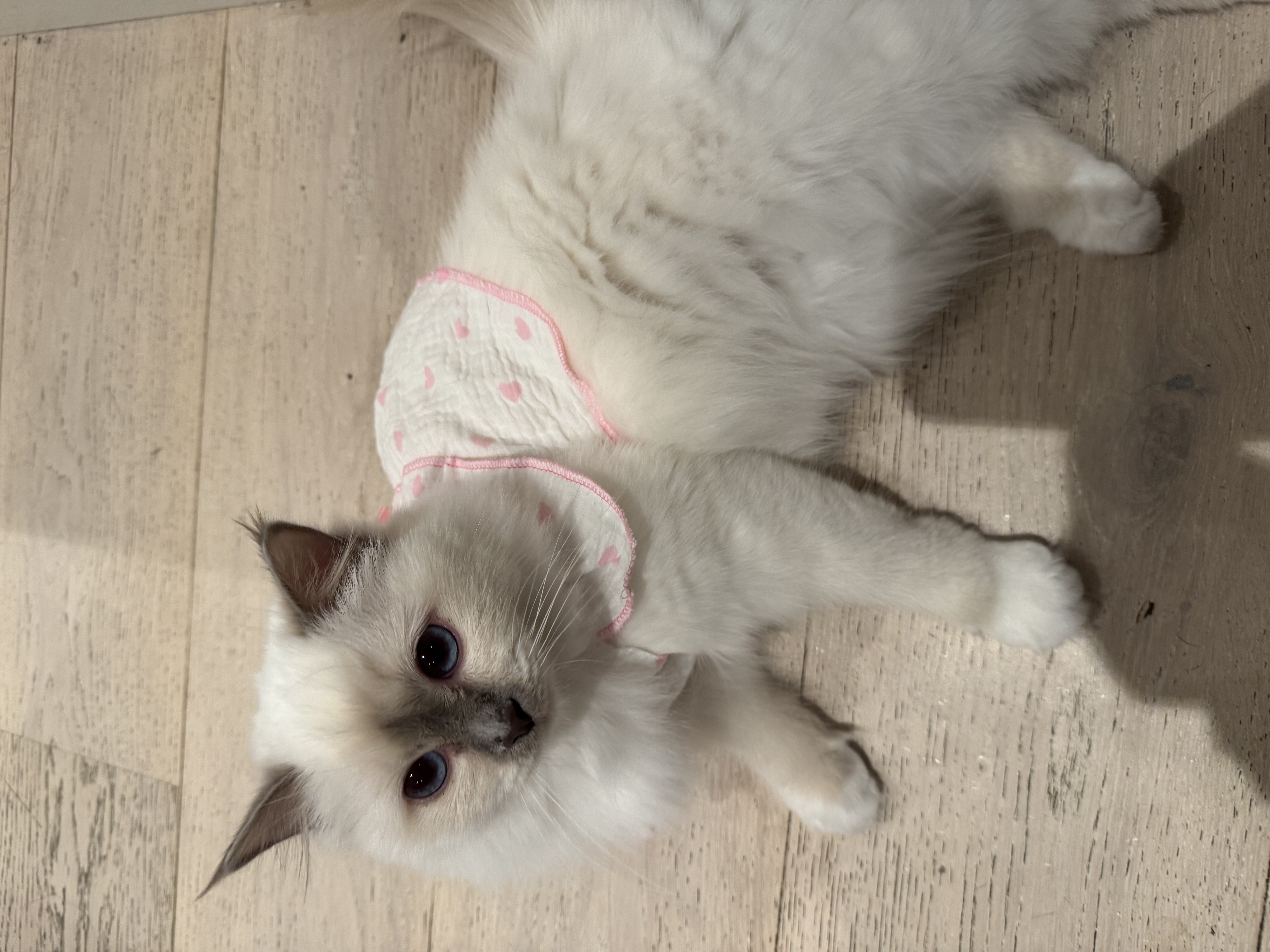 image-8