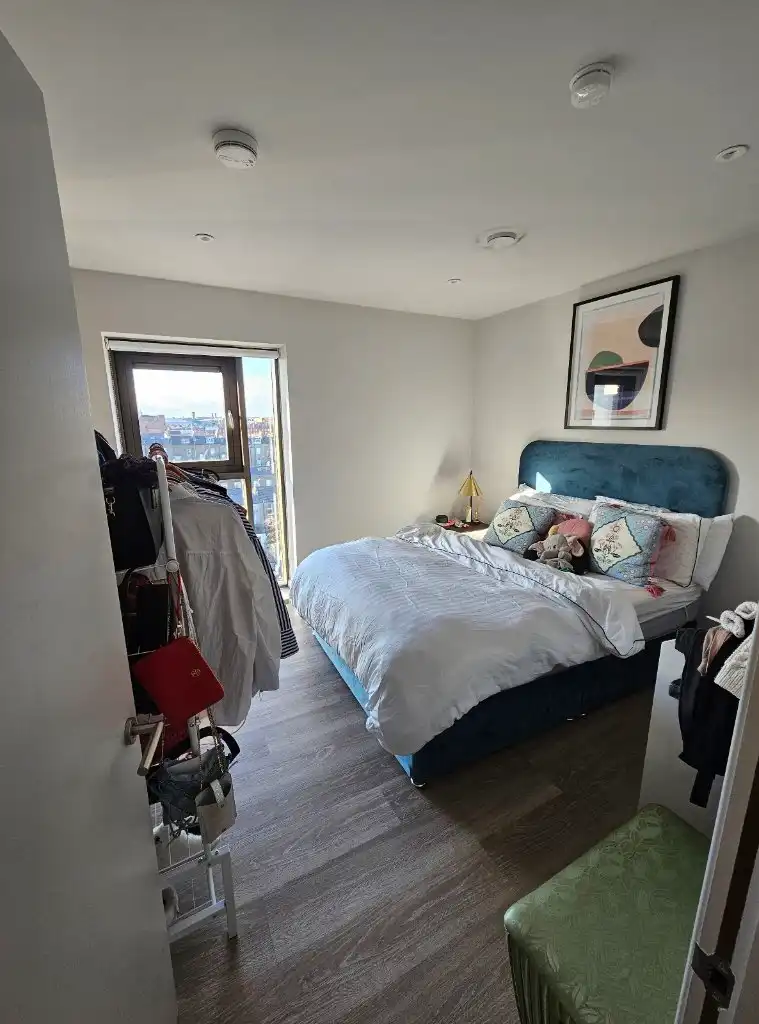 image-12