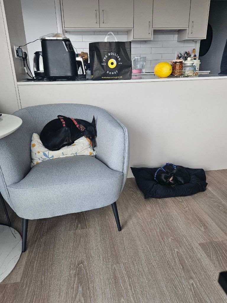image-4
