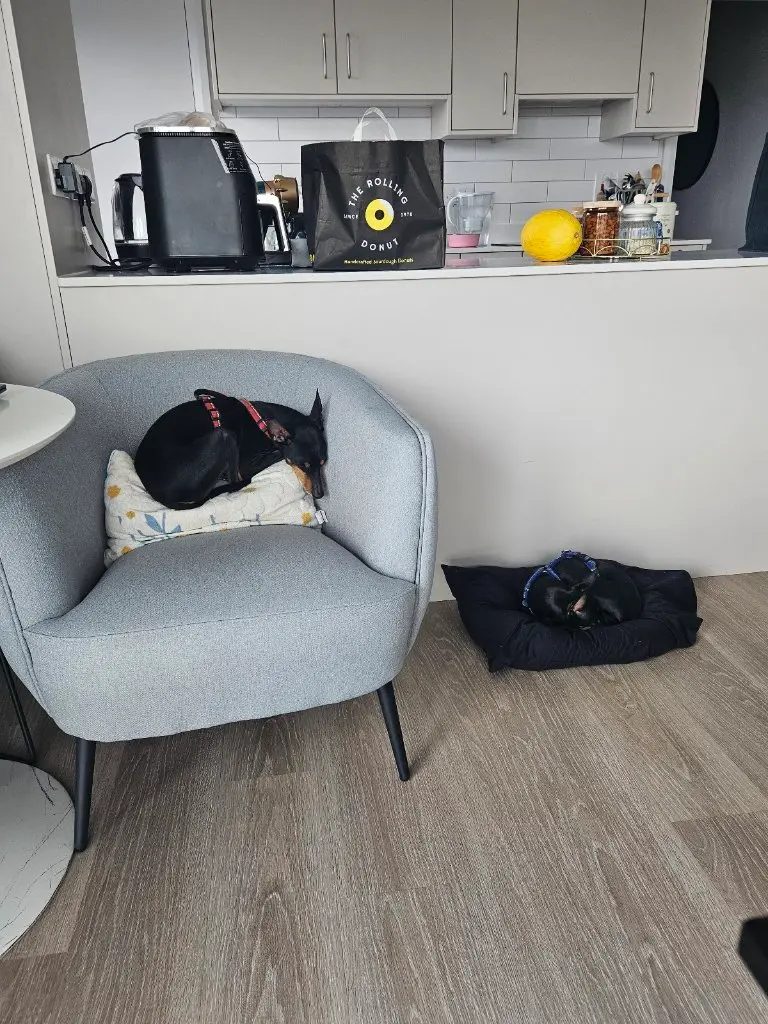 image-4