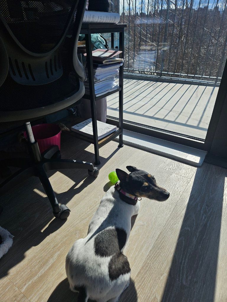 image-5