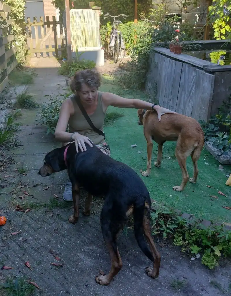 image-10