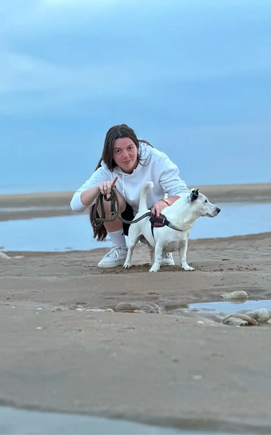 image-9