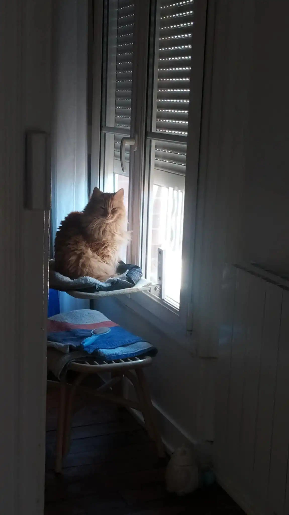 image-5