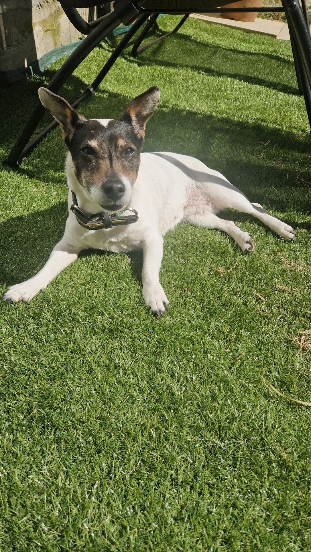 image-16