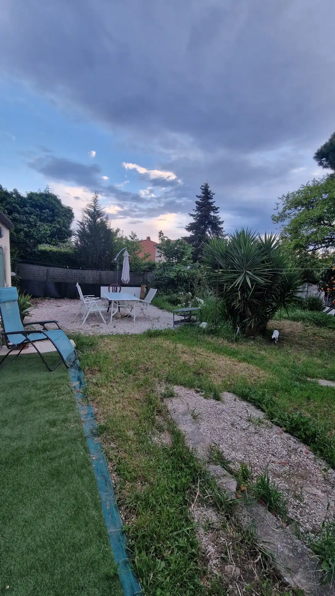 image-26