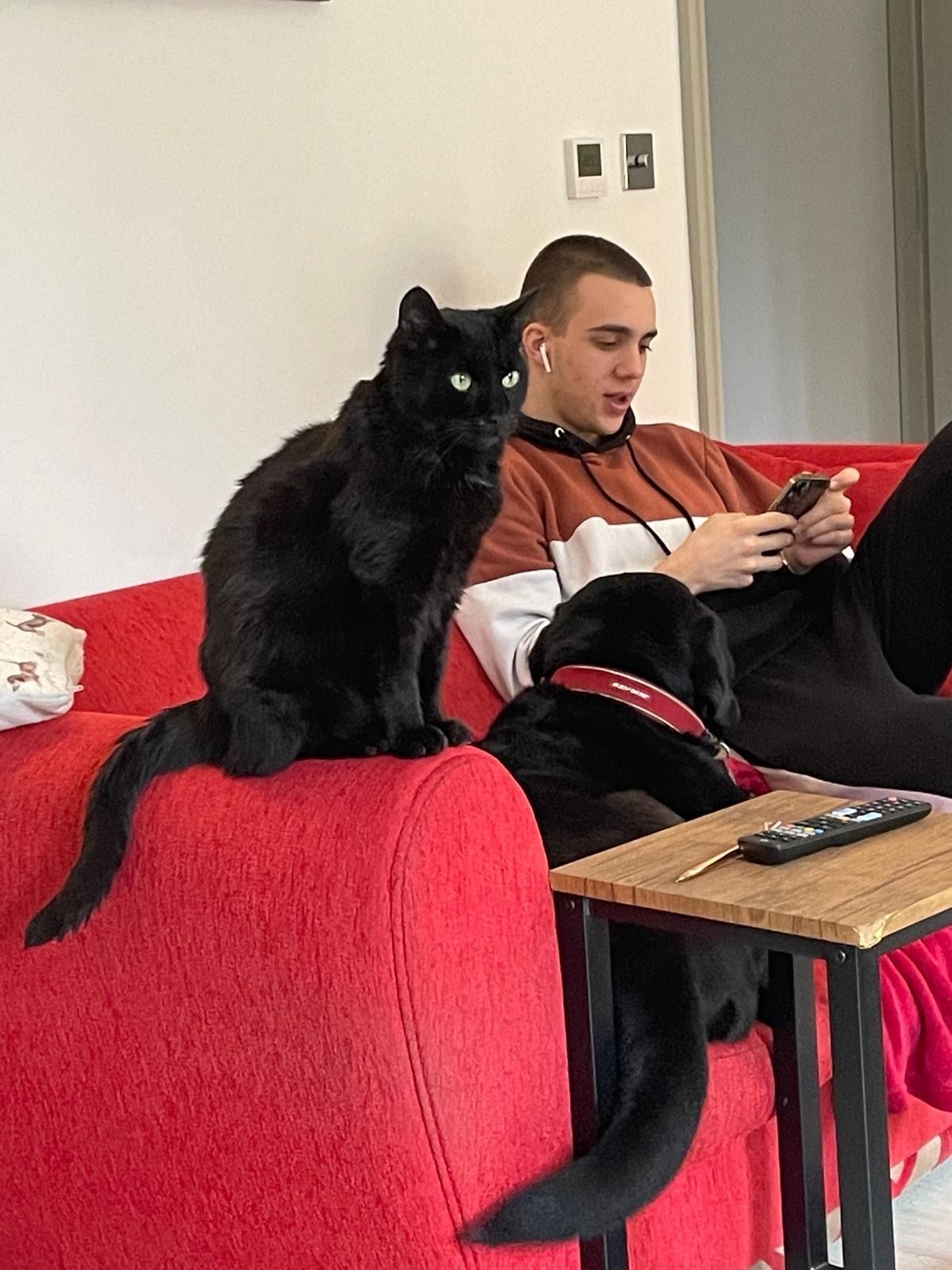 image-10