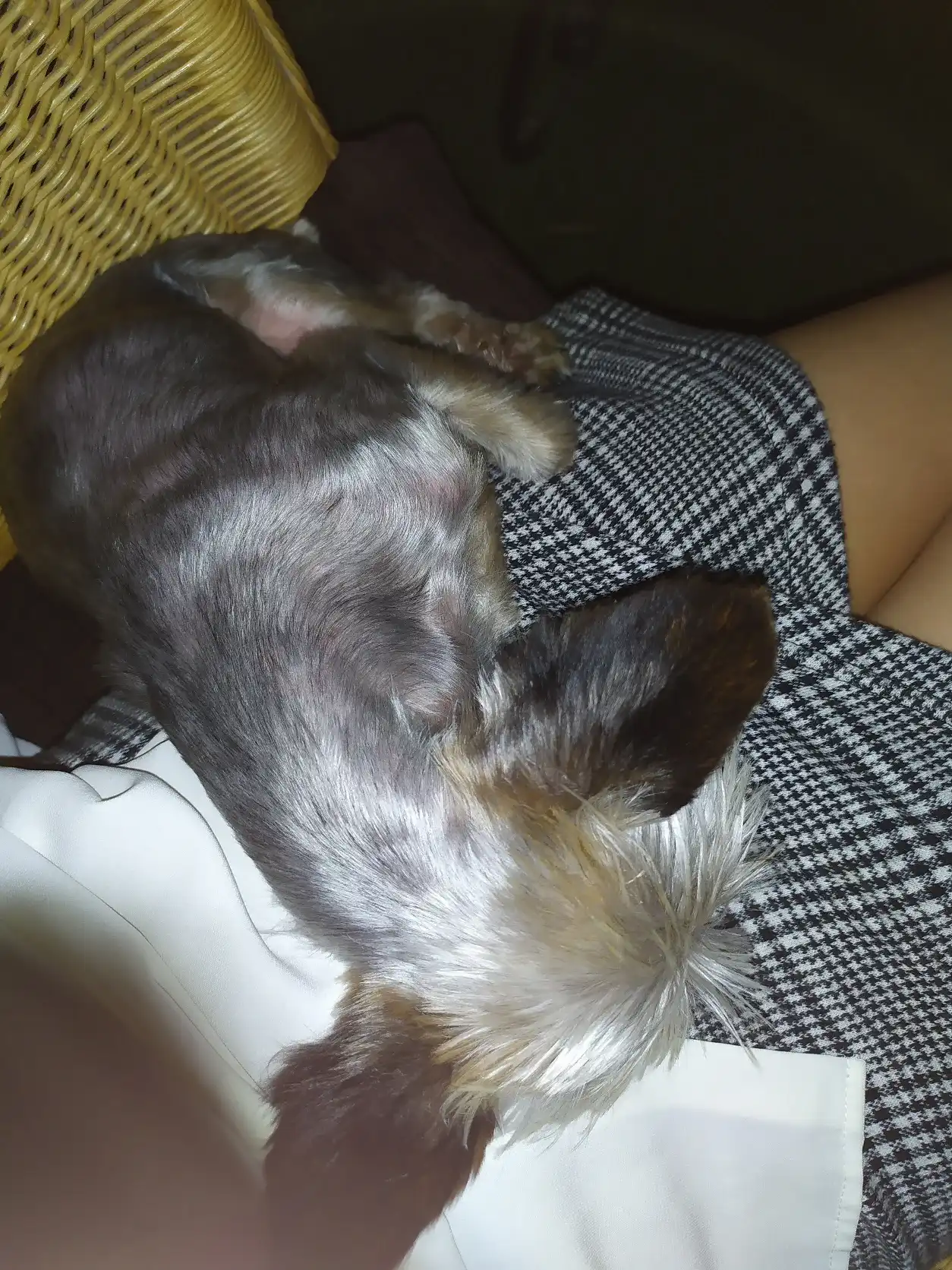 image-8